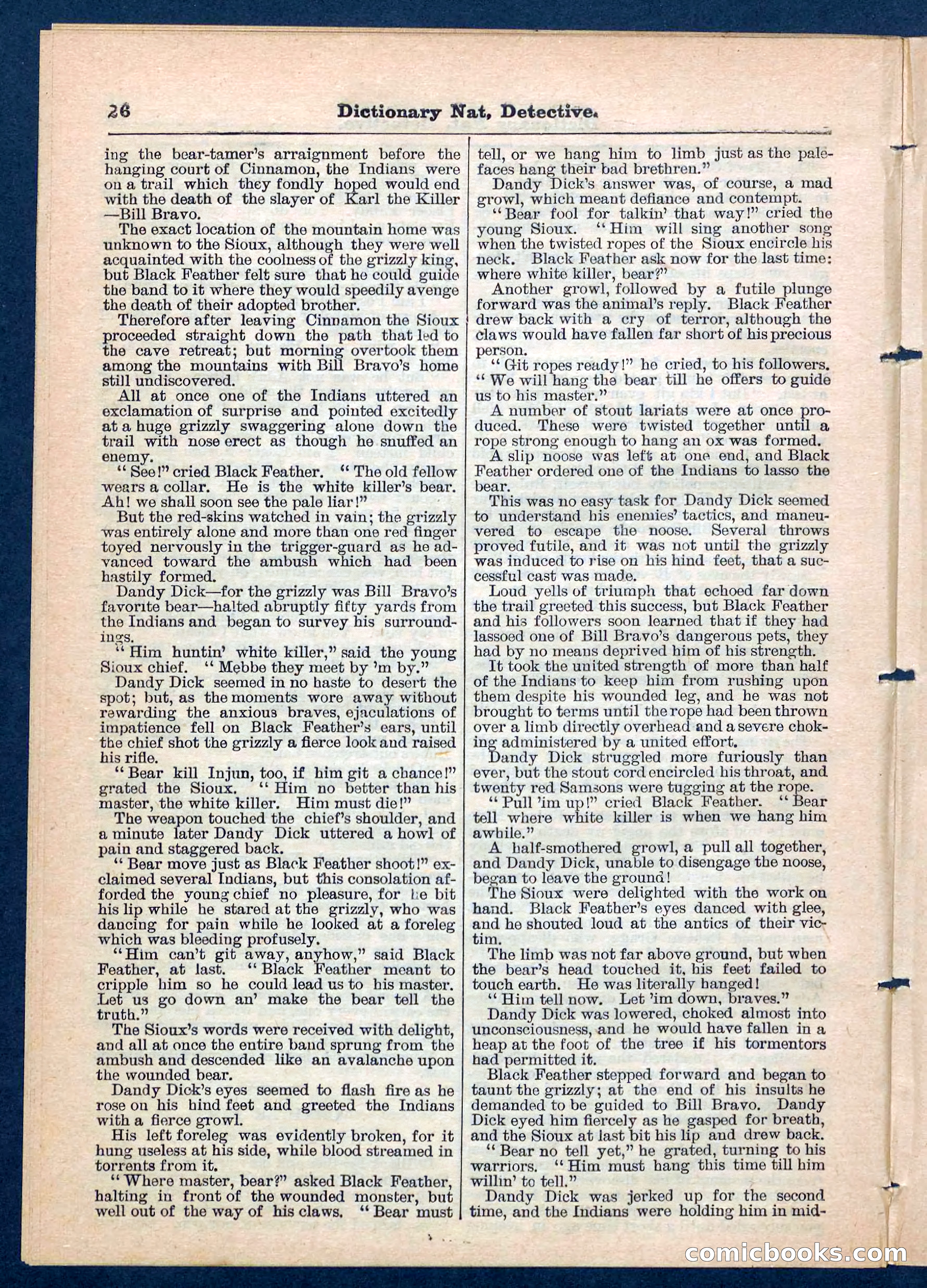 Beadle's Pocket Library No. 199 — page 26 of 32
