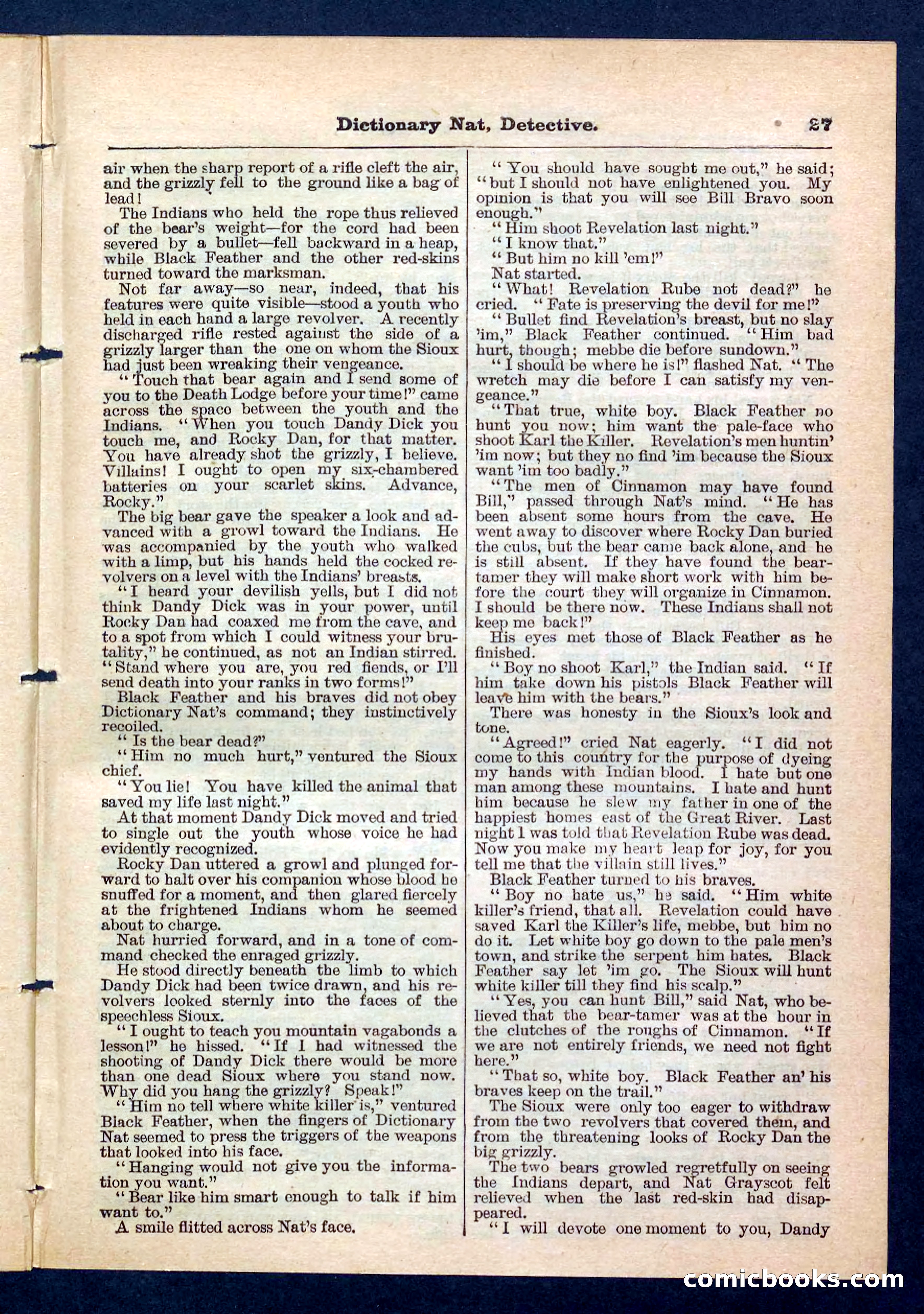 Beadle's Pocket Library No. 199 — page 27 of 32
