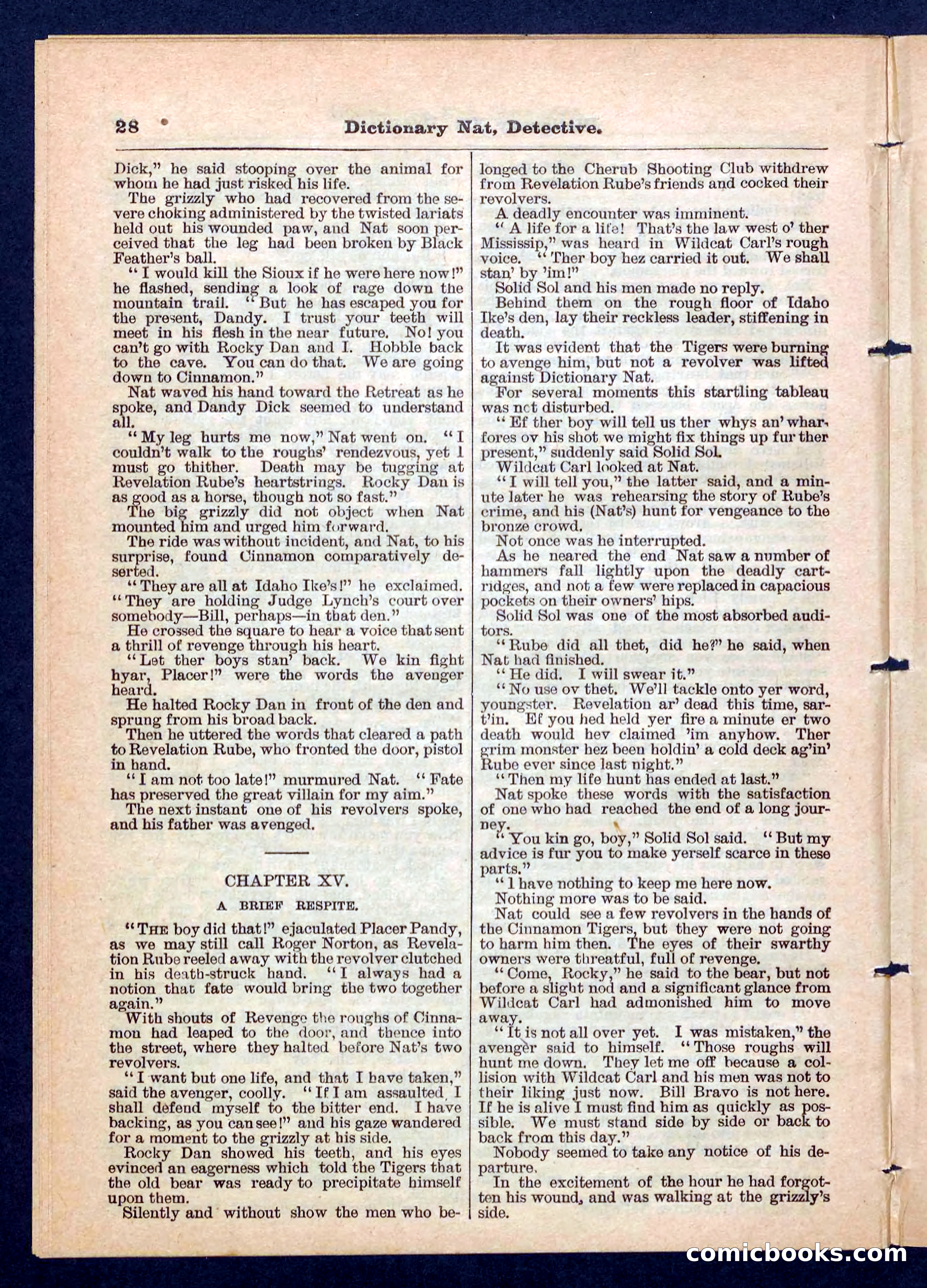 Beadle's Pocket Library No. 199 — page 28 of 32