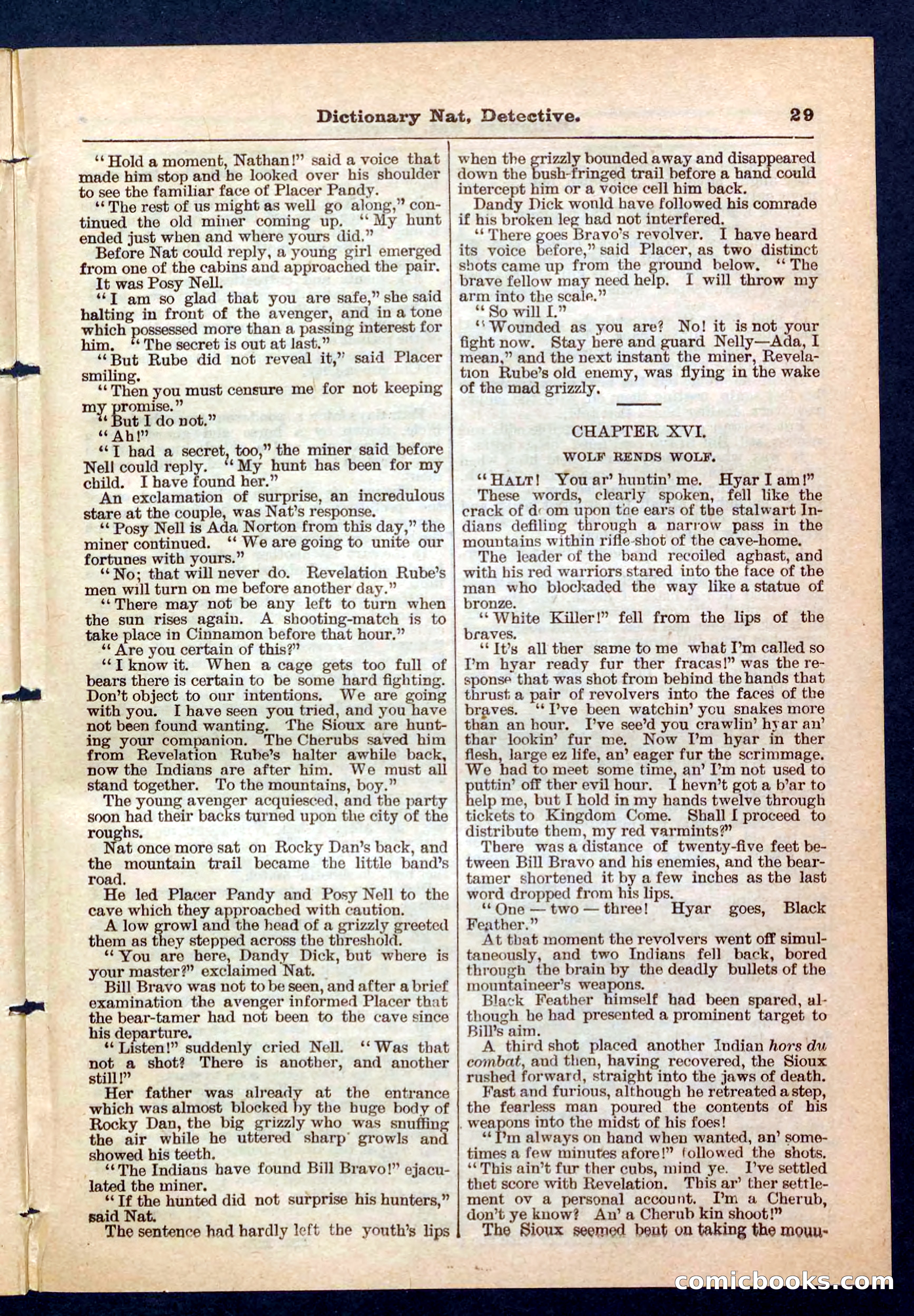 Beadle's Pocket Library No. 199 — page 29 of 32