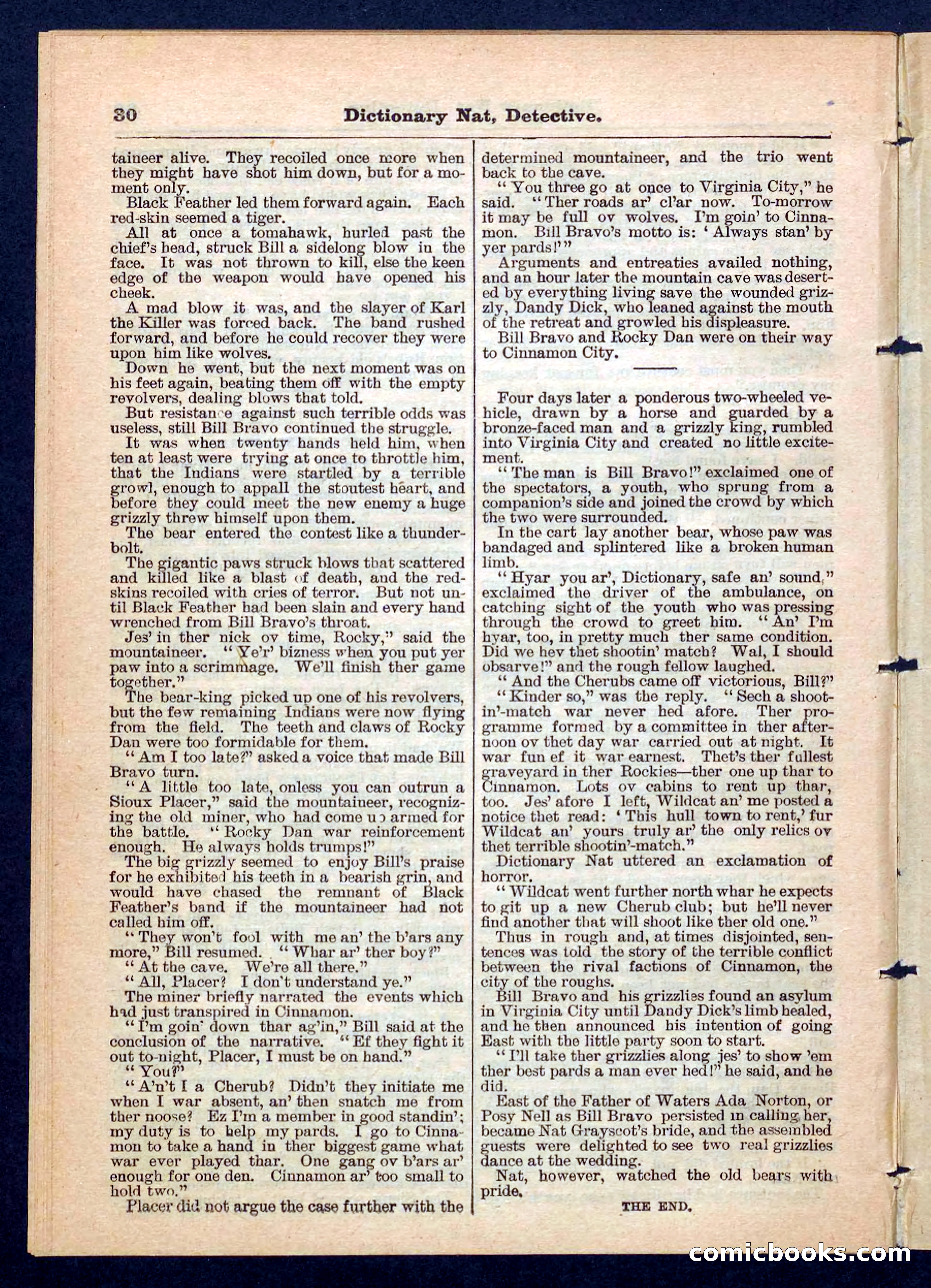 Beadle's Pocket Library No. 199 — page 30 of 32