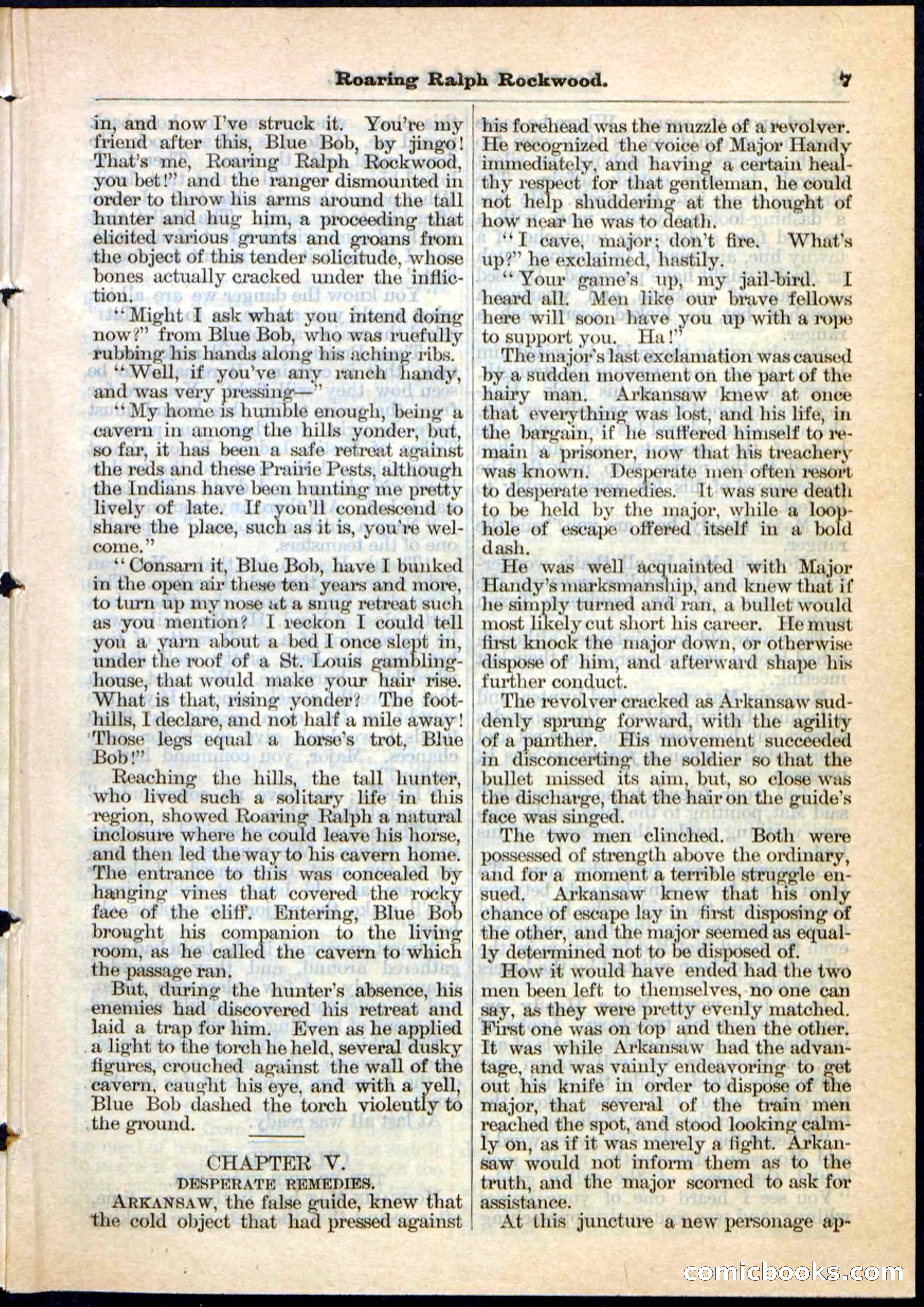 Beadle's Pocket Library No. 20 — page 7 of 32