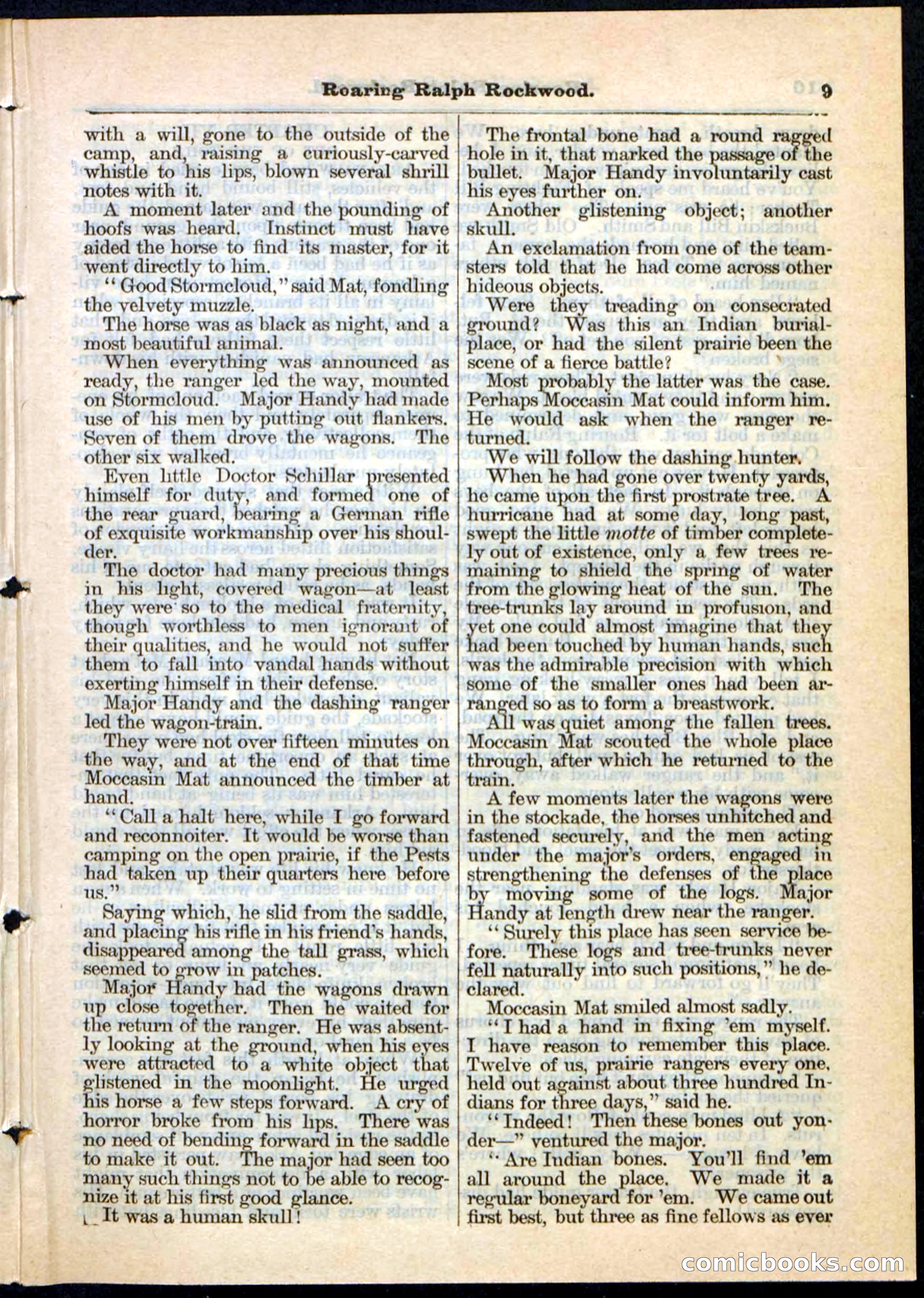 Beadle's Pocket Library No. 20 — page 9 of 32
