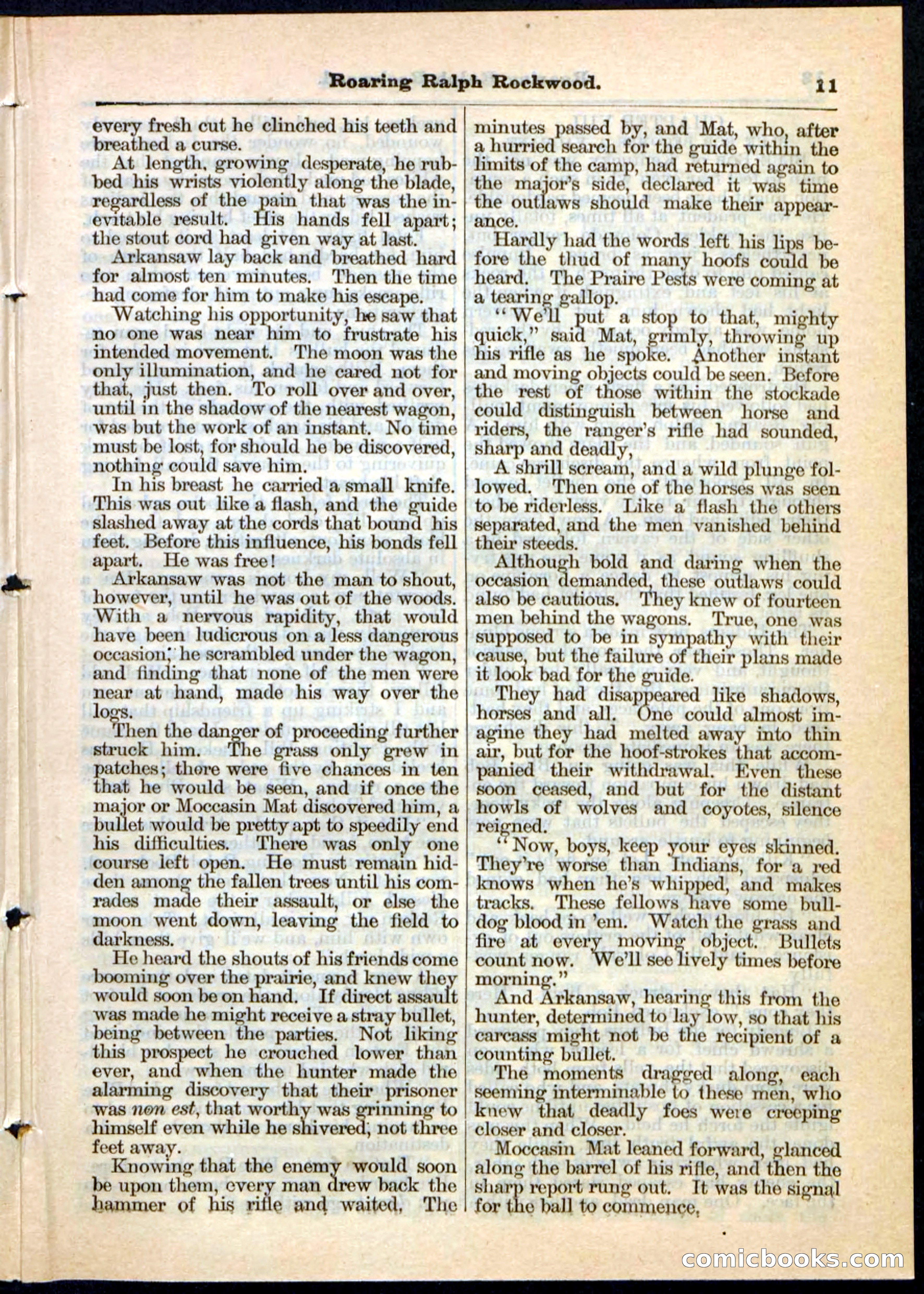 Beadle's Pocket Library No. 20 — page 11 of 32