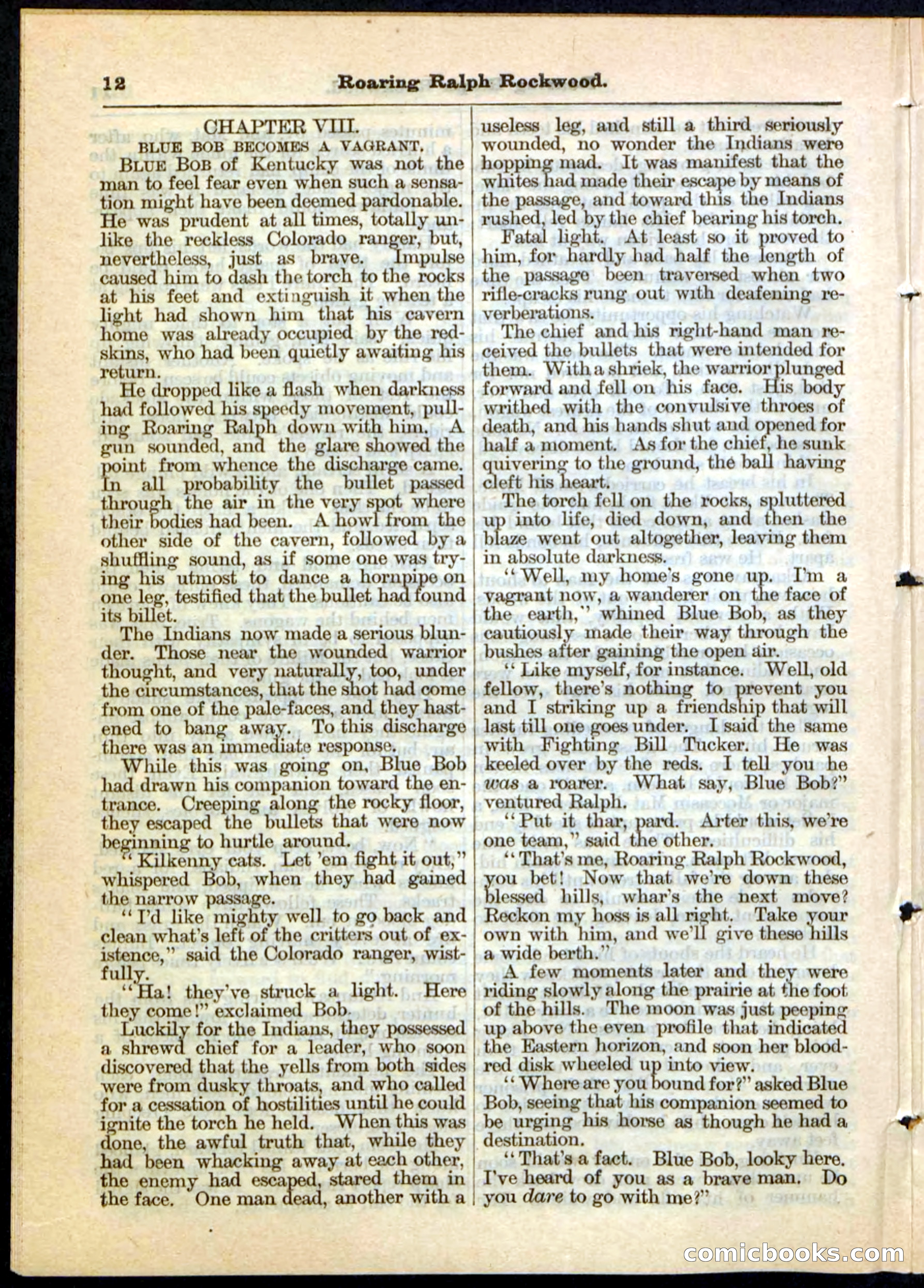 Beadle's Pocket Library No. 20 — page 12 of 32