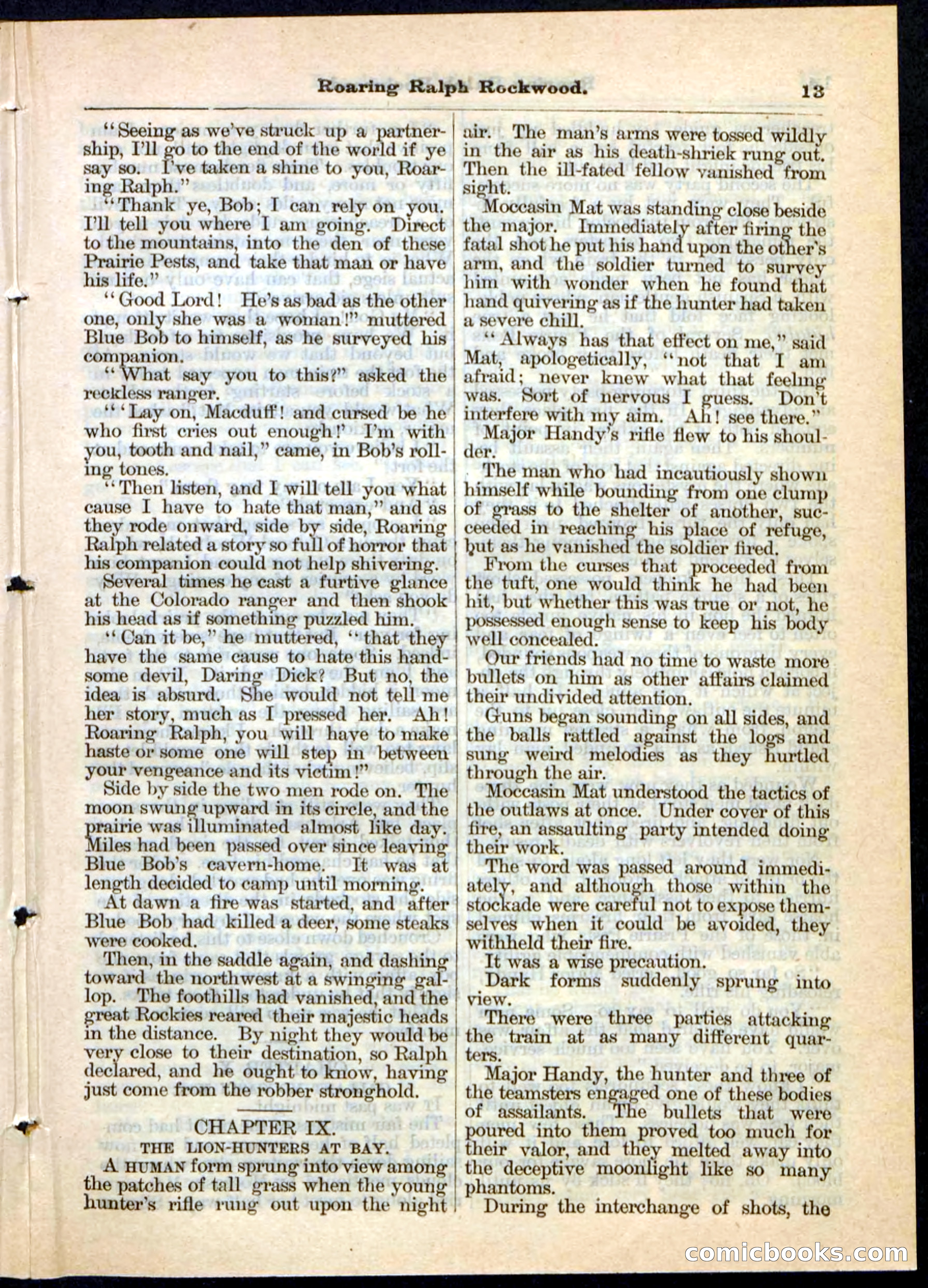 Beadle's Pocket Library No. 20 — page 13 of 32