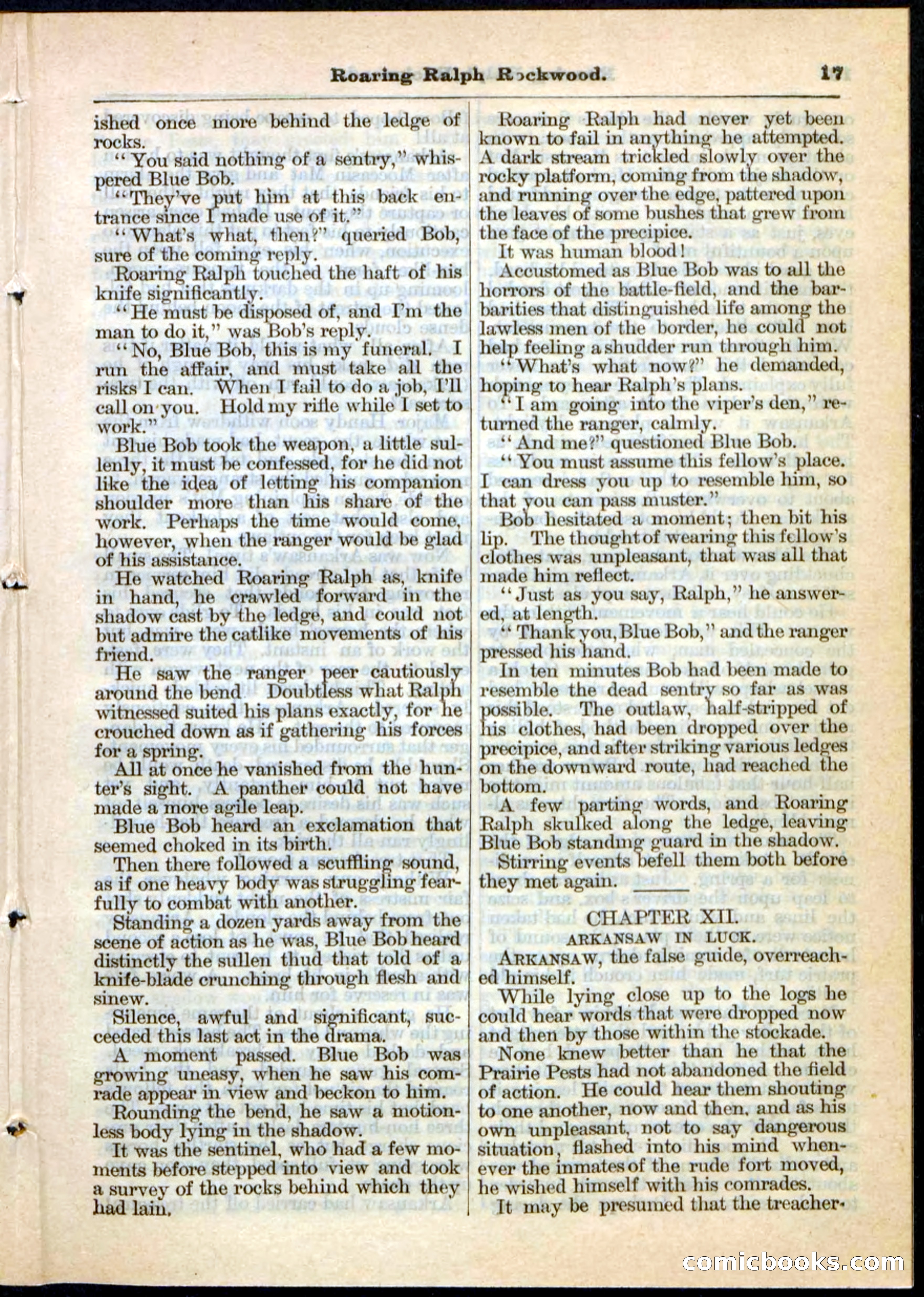 Beadle's Pocket Library No. 20 — page 17 of 32