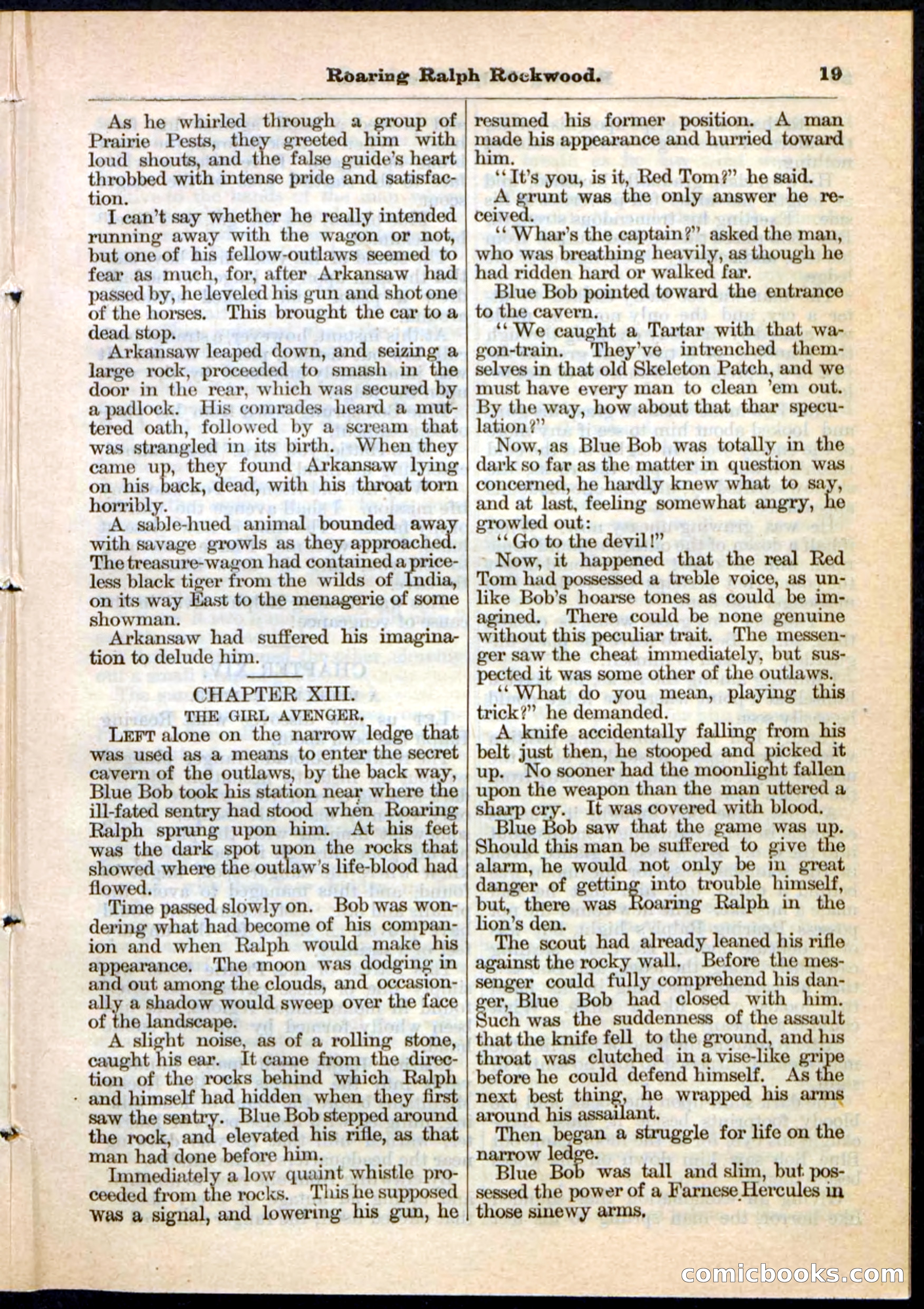 Beadle's Pocket Library No. 20 — page 19 of 32