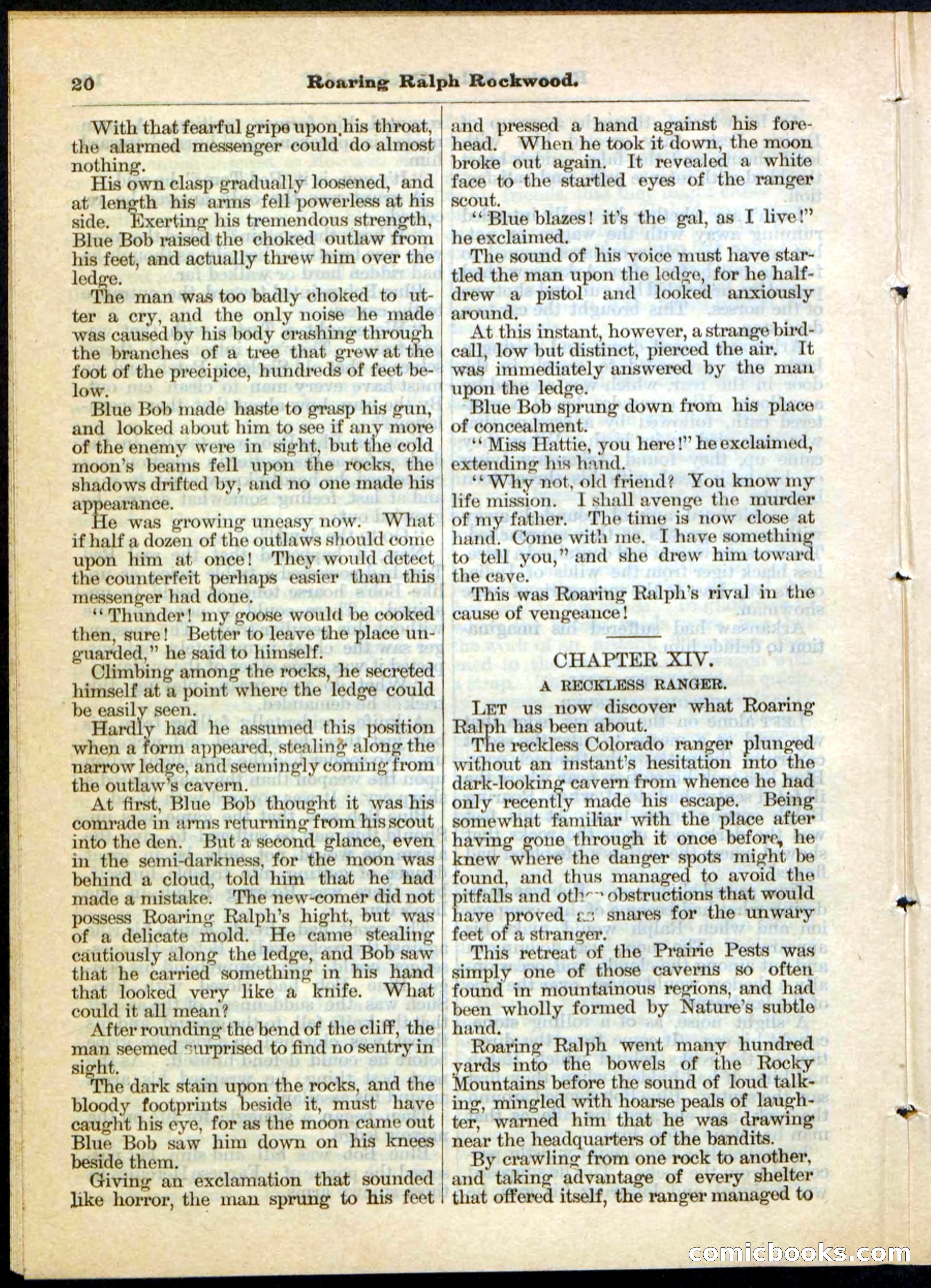 Beadle's Pocket Library No. 20 — page 20 of 32