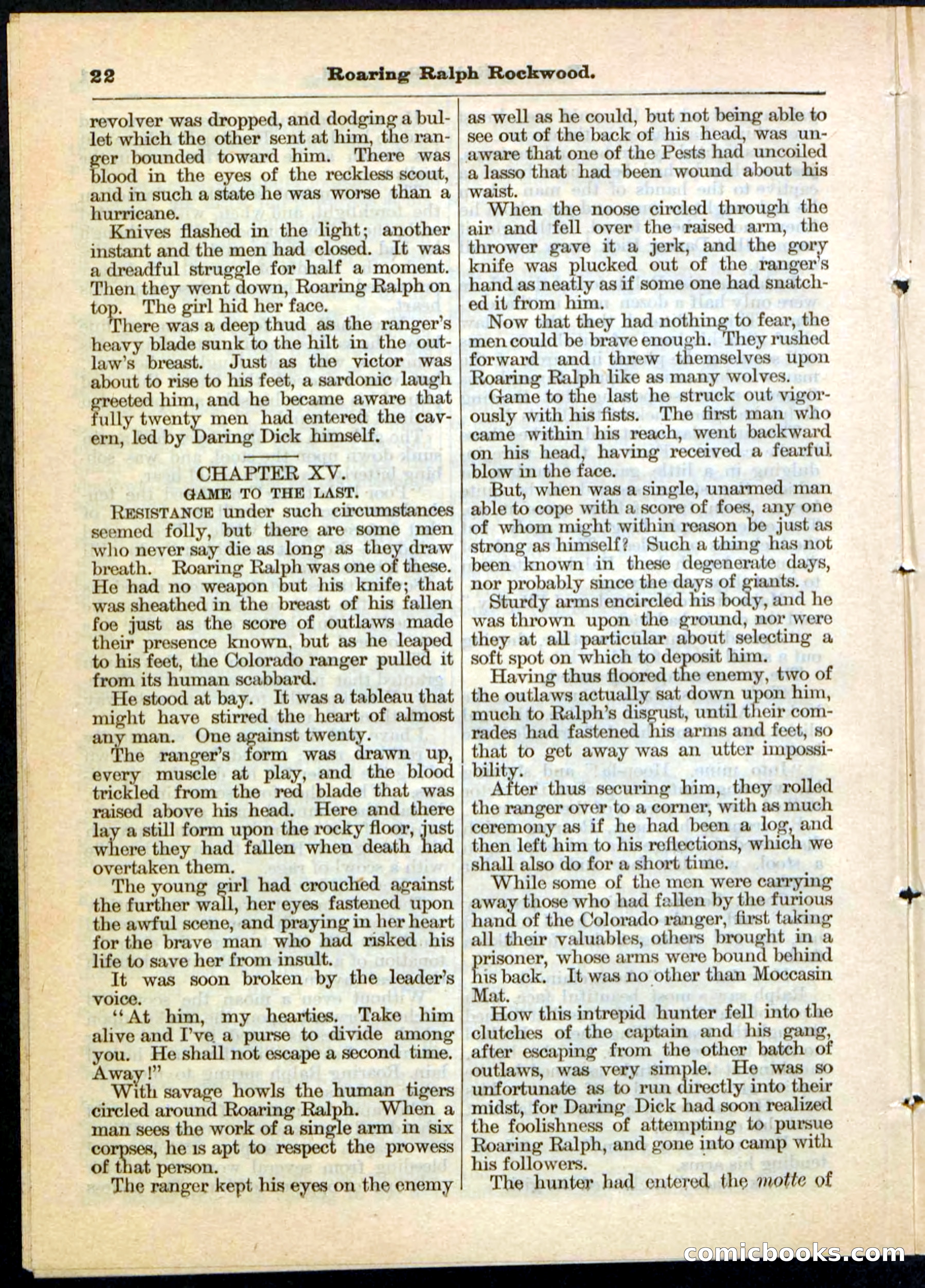 Beadle's Pocket Library No. 20 — page 22 of 32