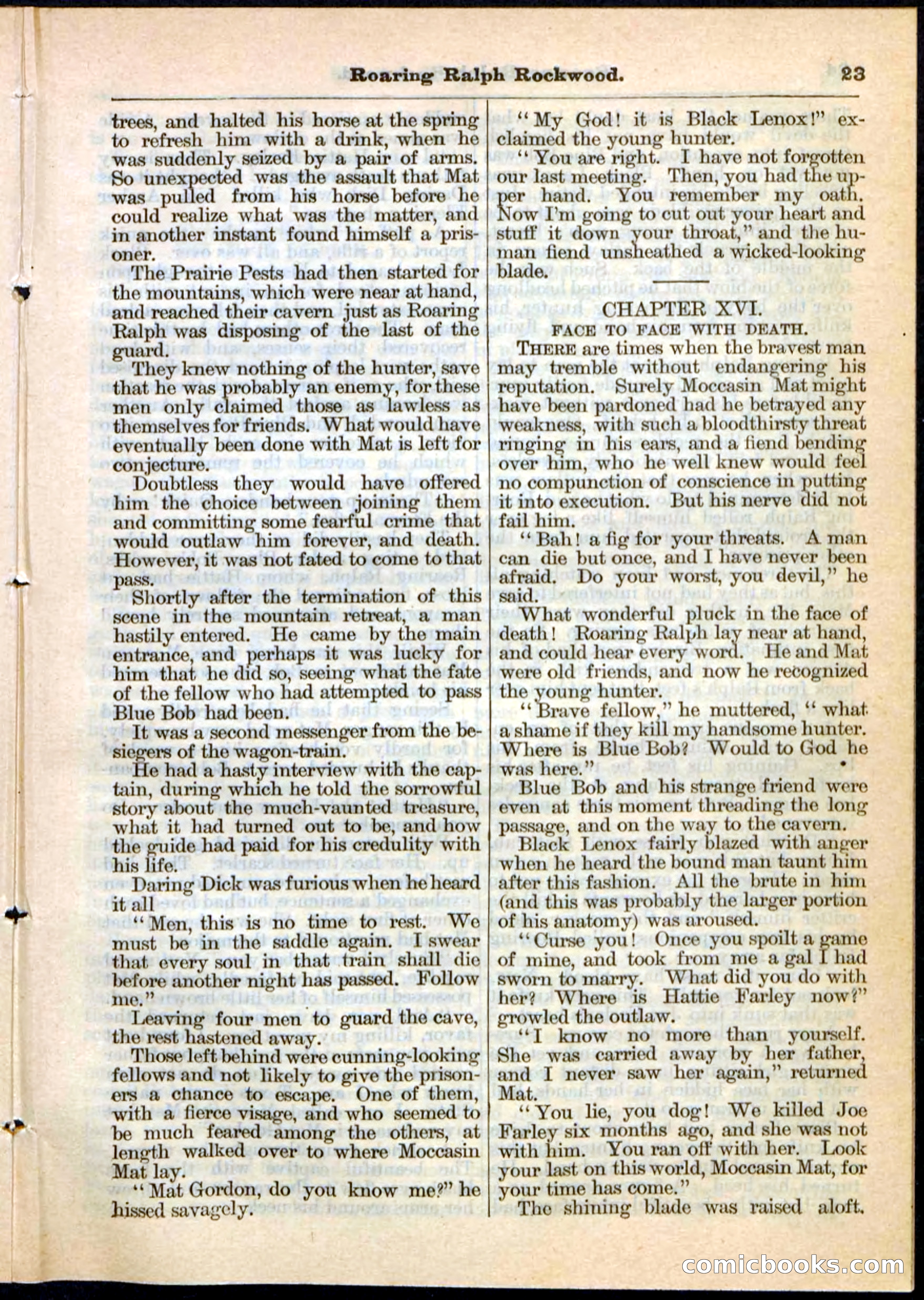 Beadle's Pocket Library No. 20 — page 23 of 32