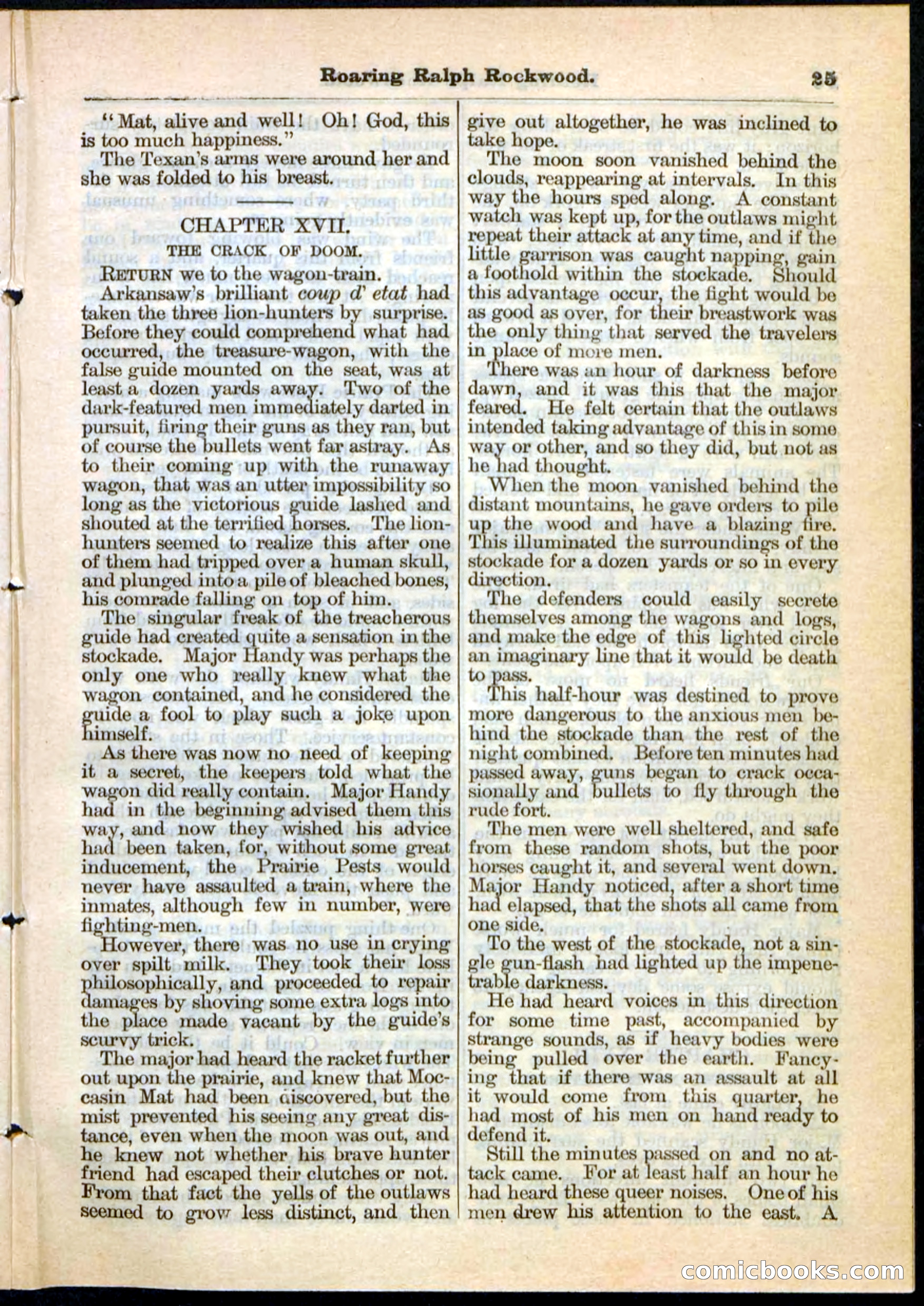 Beadle's Pocket Library No. 20 — page 25 of 32