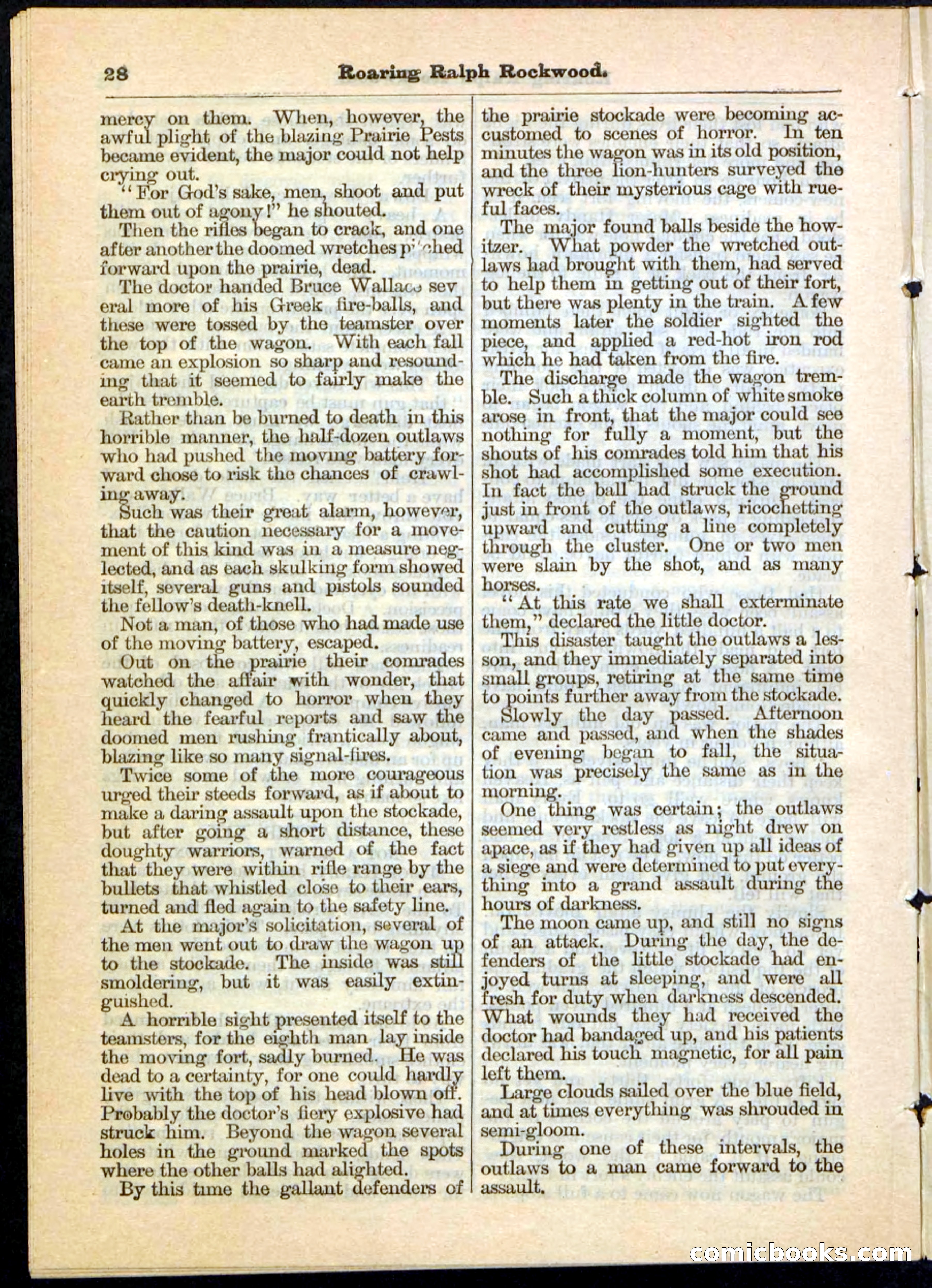 Beadle's Pocket Library No. 20 — page 28 of 32