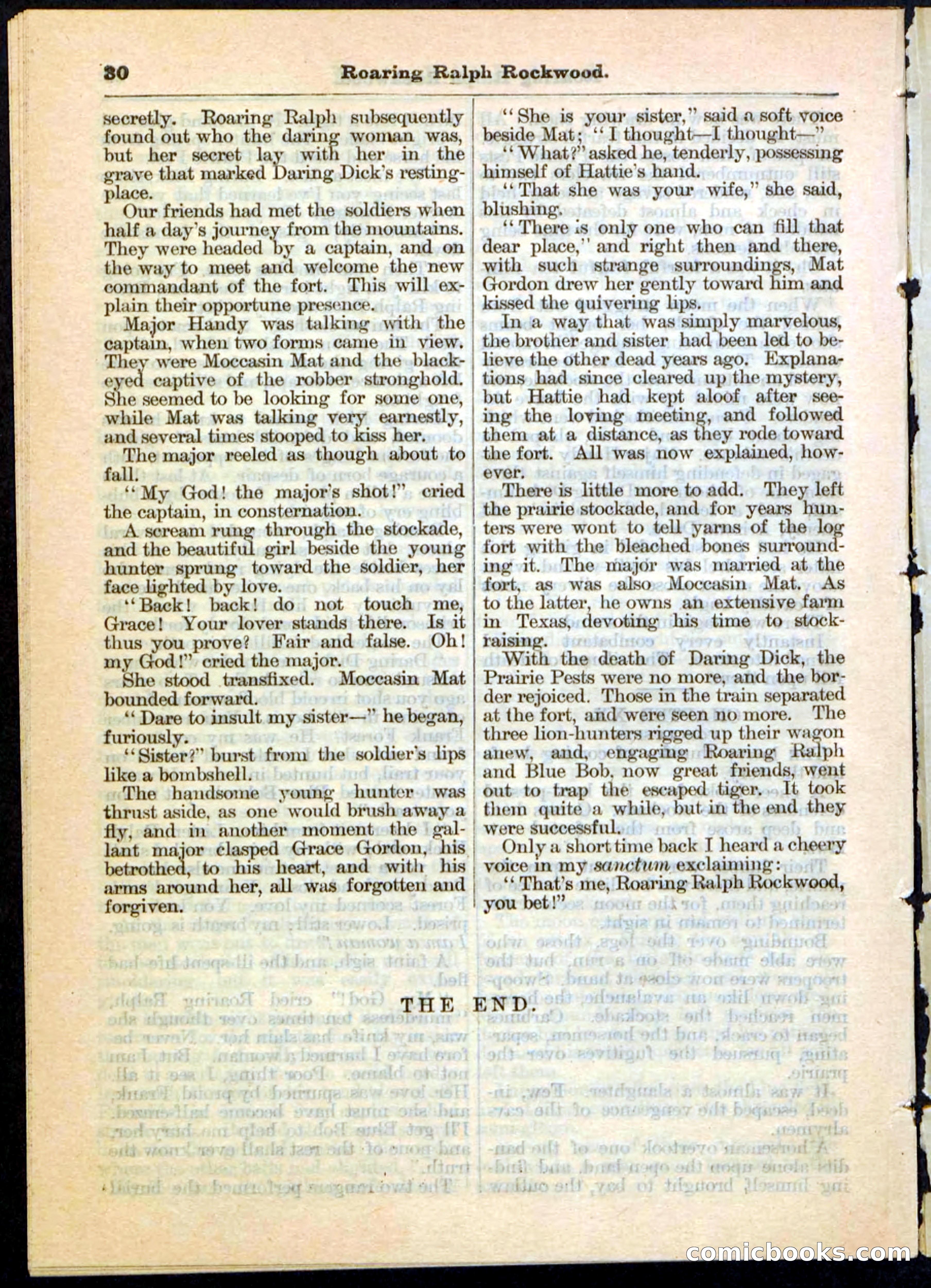 Beadle's Pocket Library No. 20 — page 30 of 32