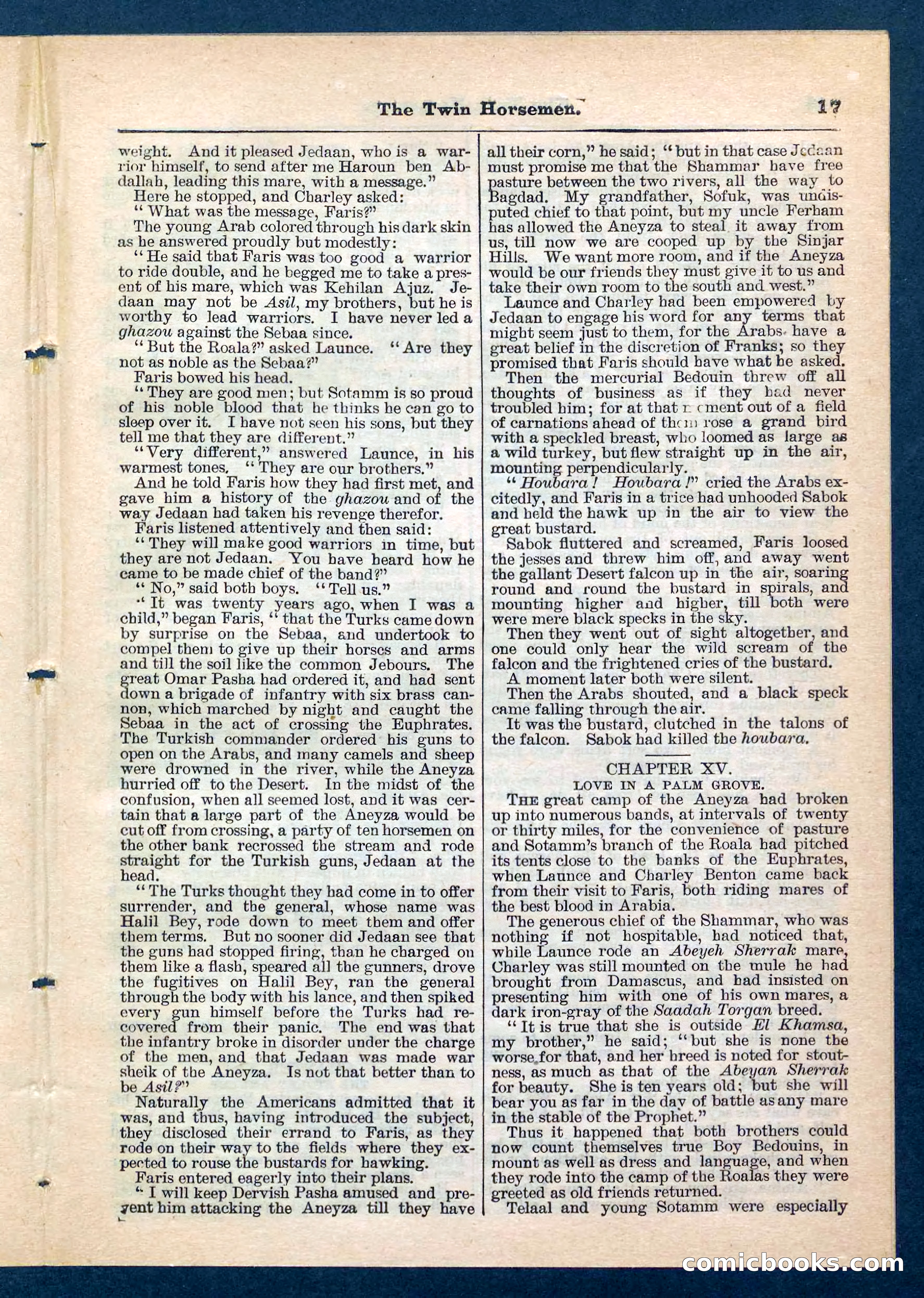 Beadle's Pocket Library, No. 200 — page 17 of 32