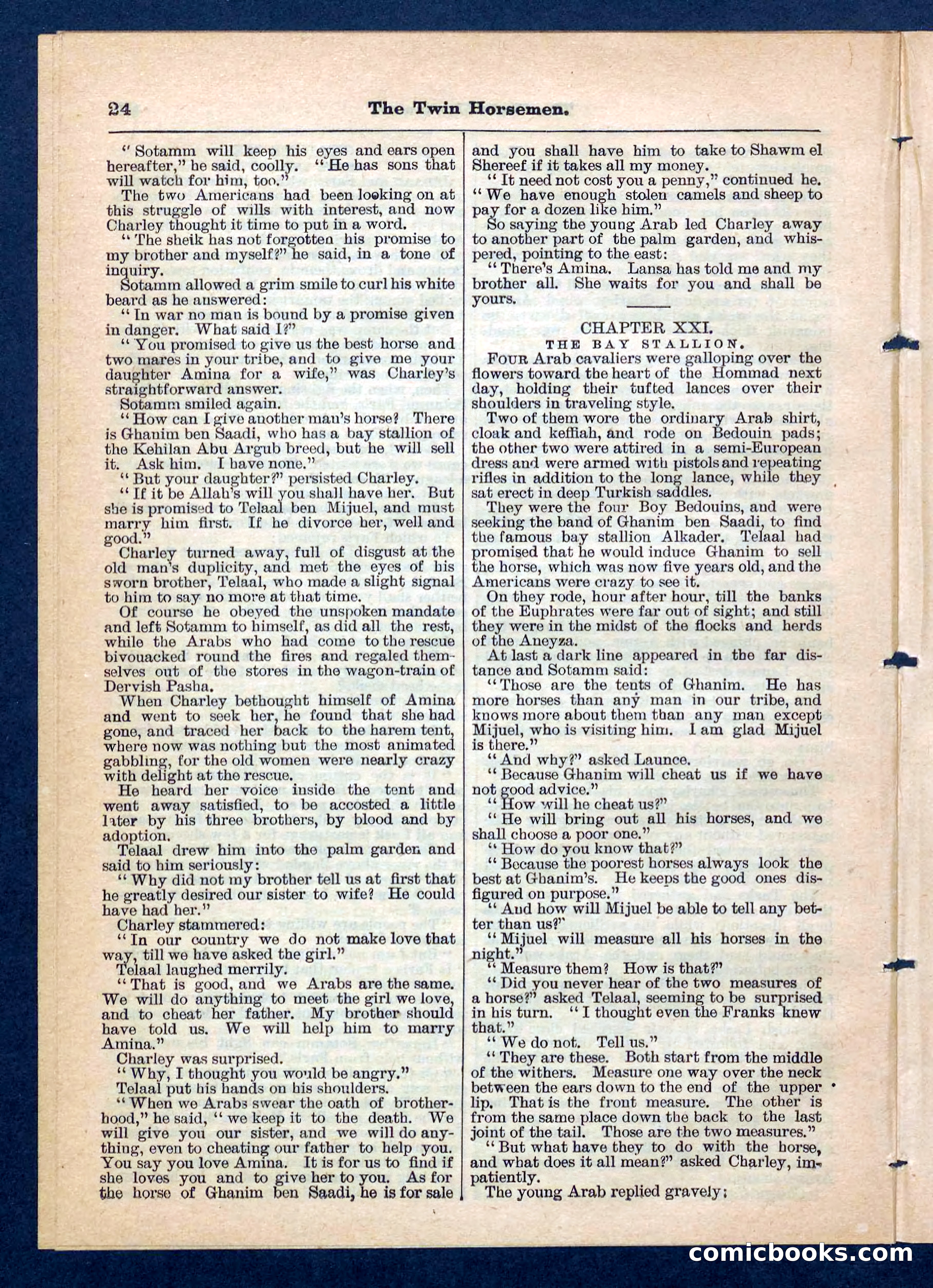 Beadle's Pocket Library, No. 200 — page 24 of 32