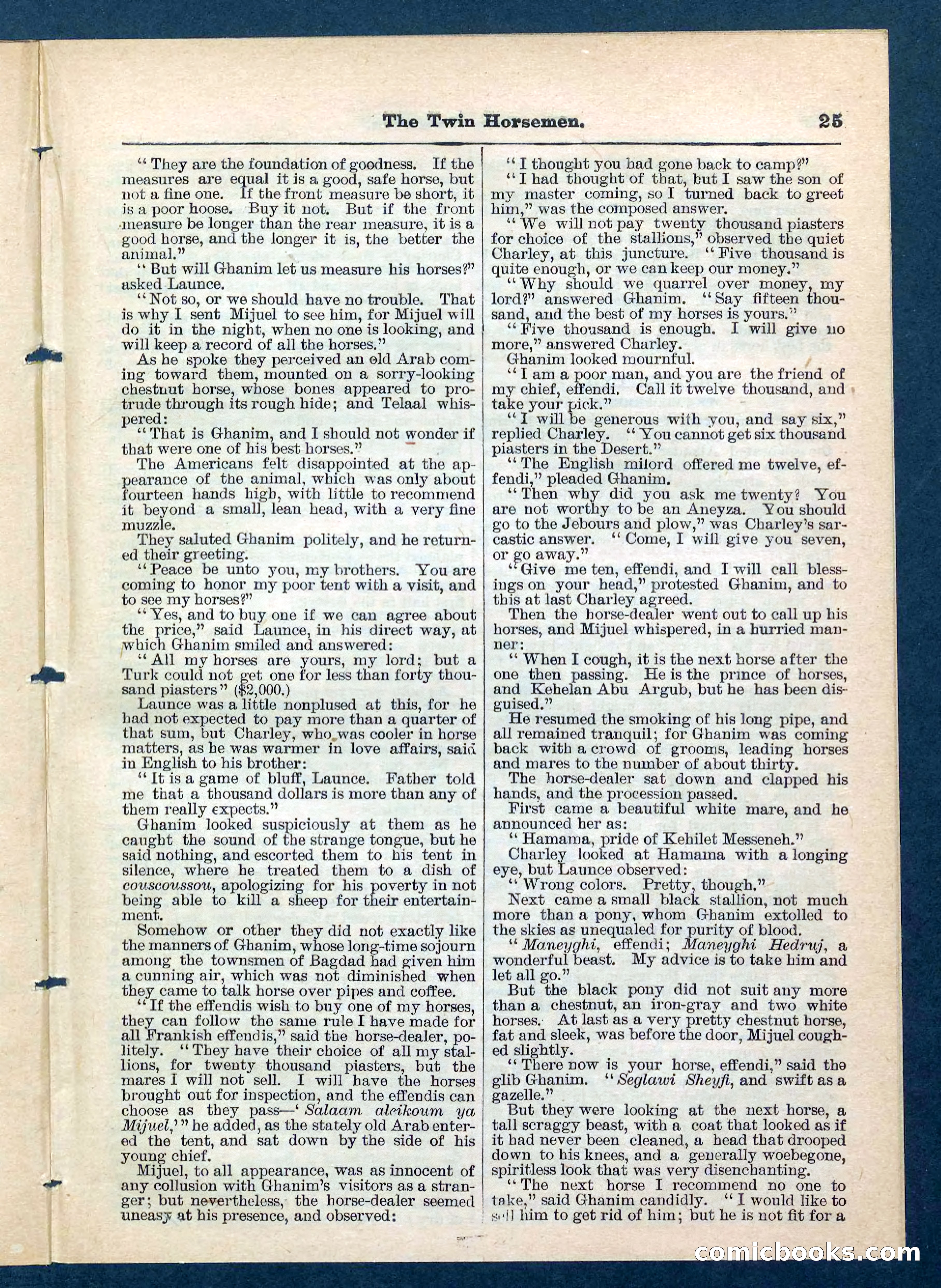 Beadle's Pocket Library, No. 200 — page 25 of 32