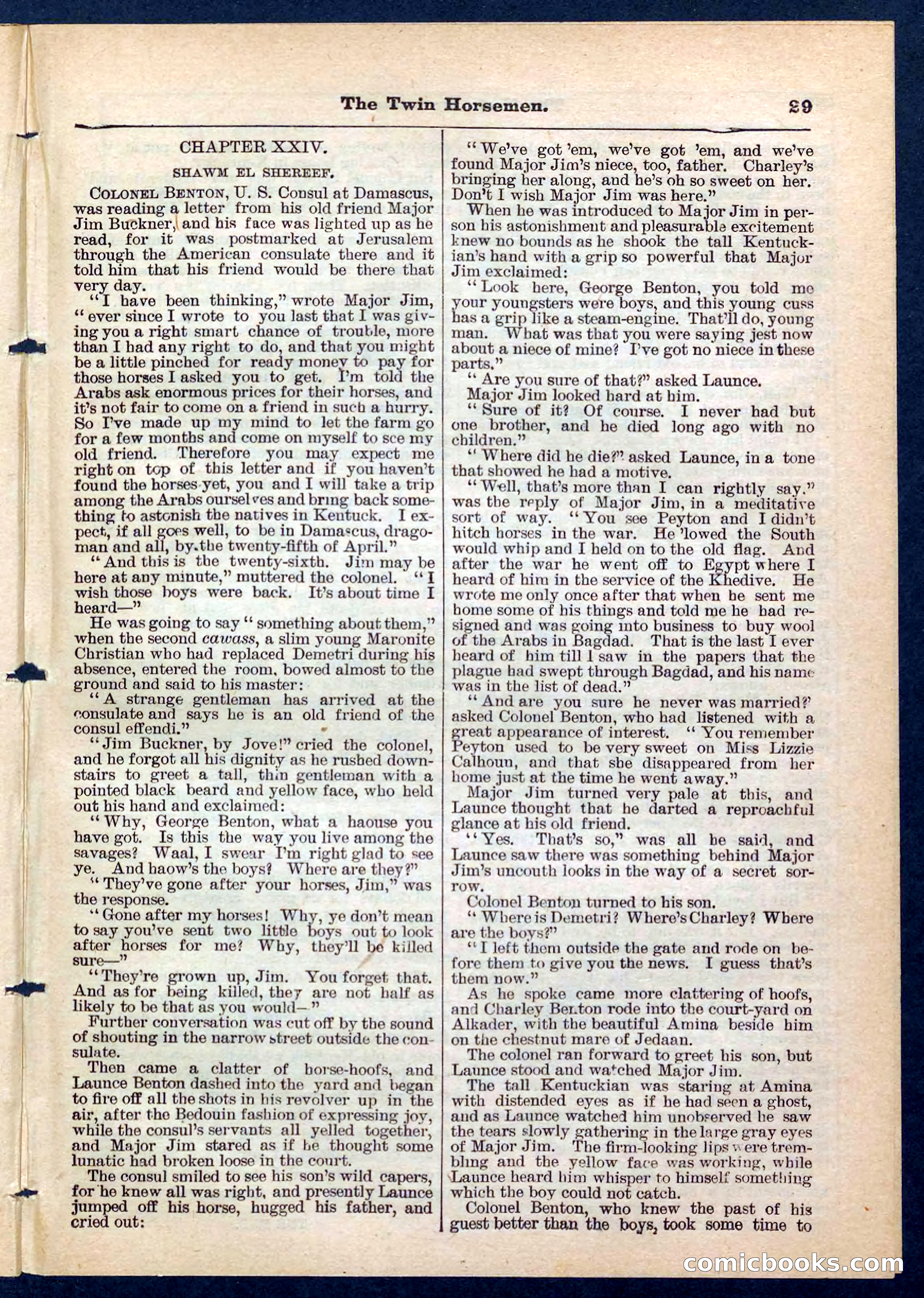 Beadle's Pocket Library, No. 200 — page 29 of 32