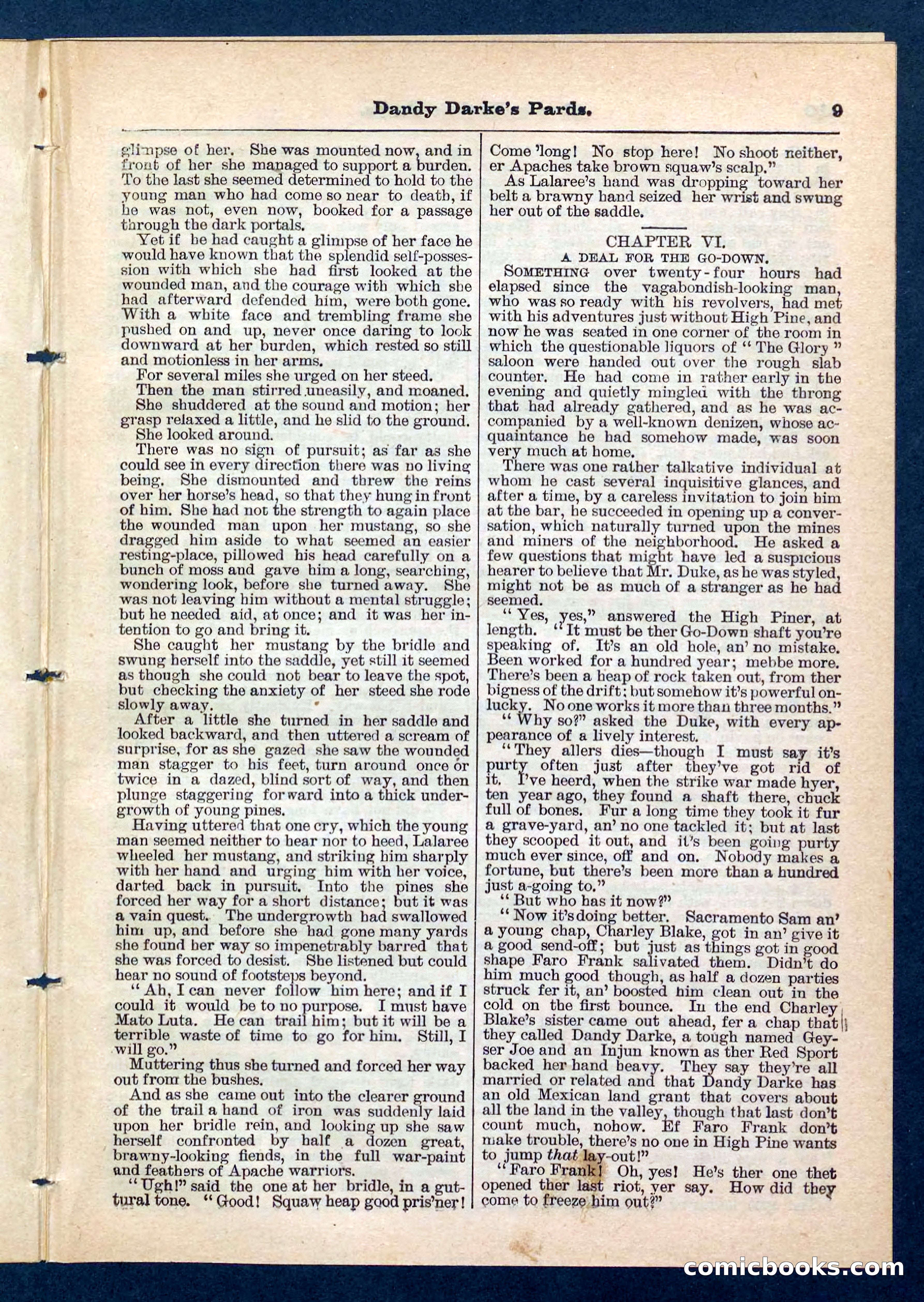 Beadle's Pocket Library No. 201: Dandy Darke's Pards — page 9 of 32