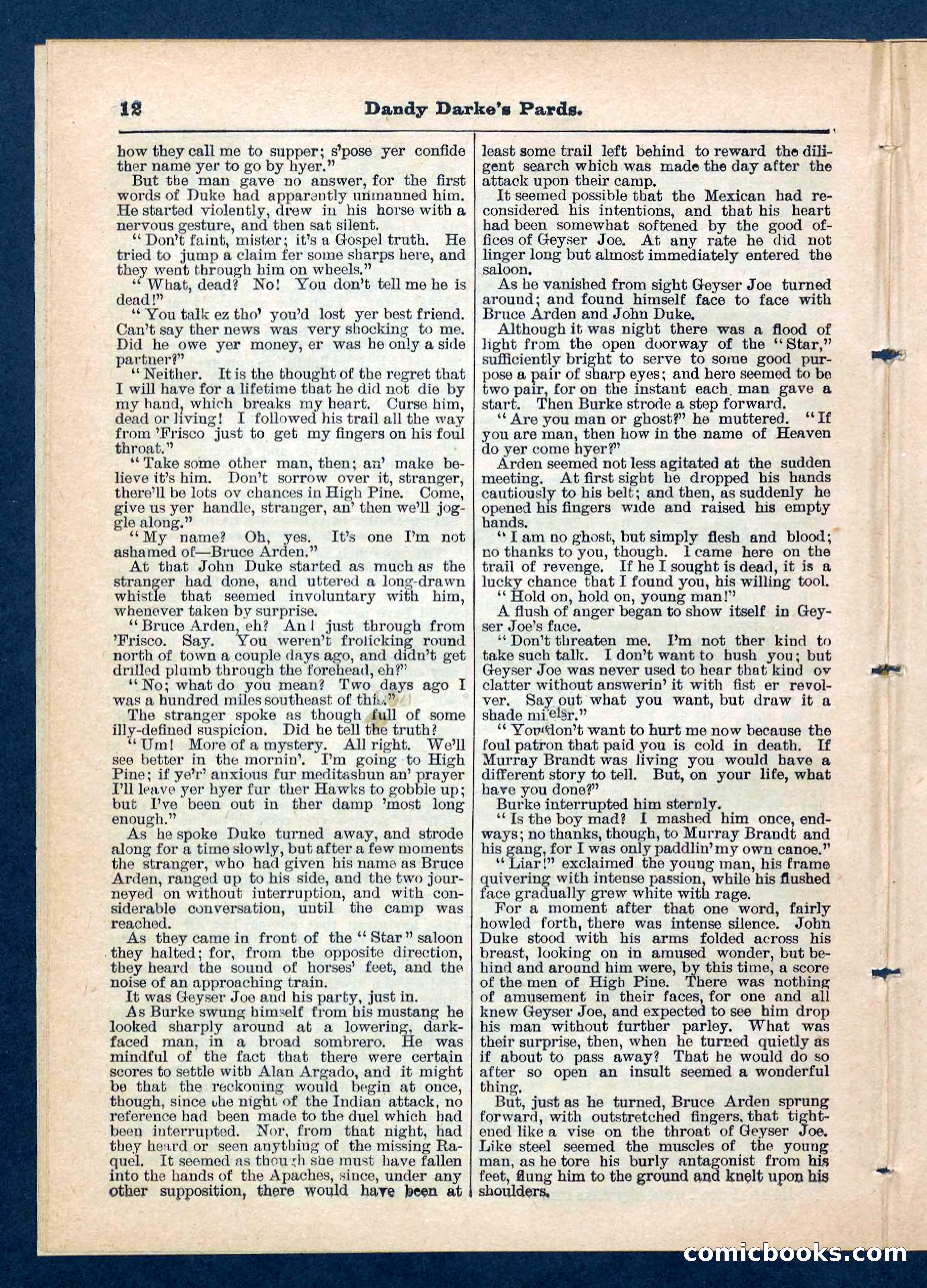Beadle's Pocket Library No. 201: Dandy Darke's Pards — page 12 of 32