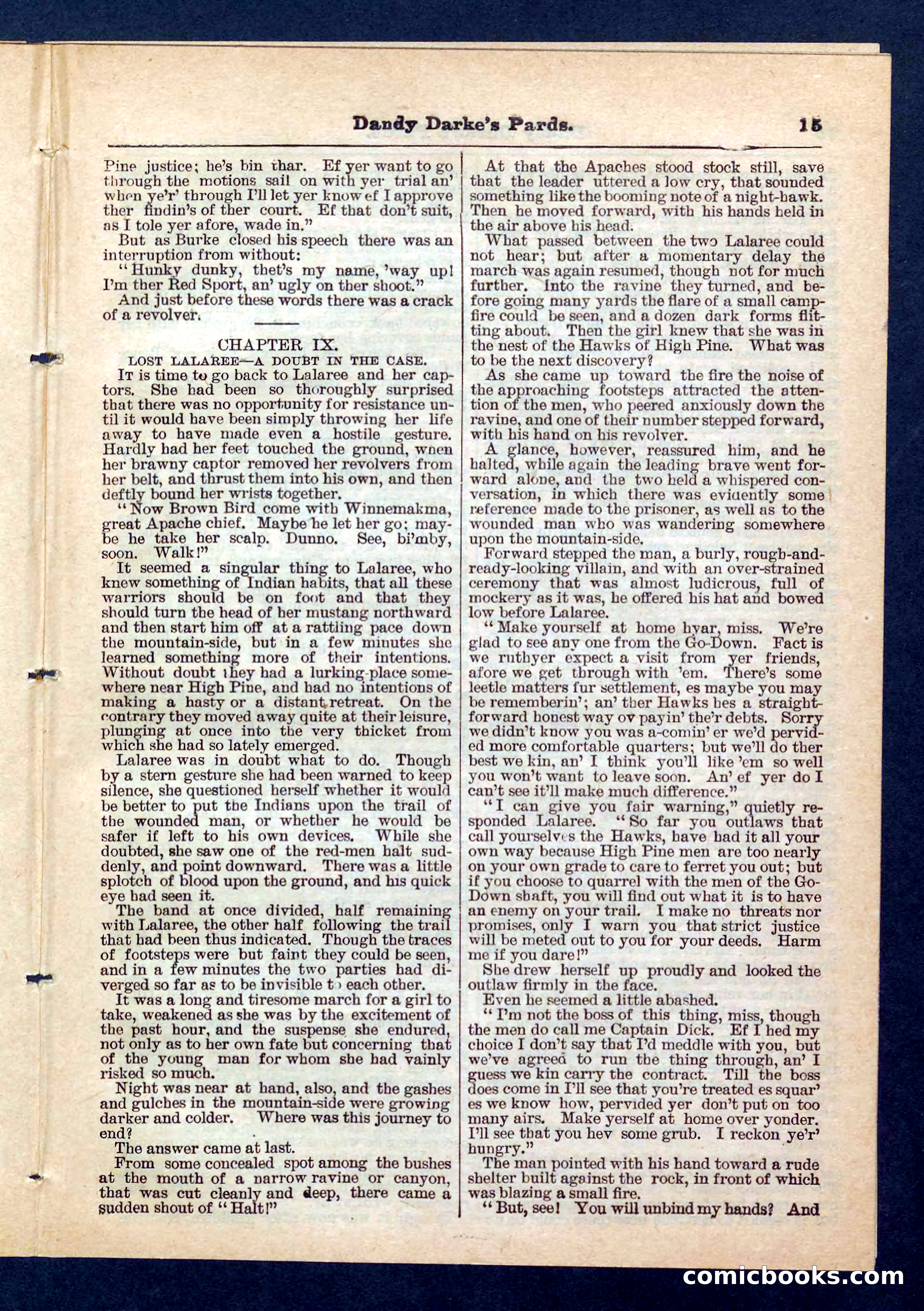 Beadle's Pocket Library No. 201: Dandy Darke's Pards — page 15 of 32