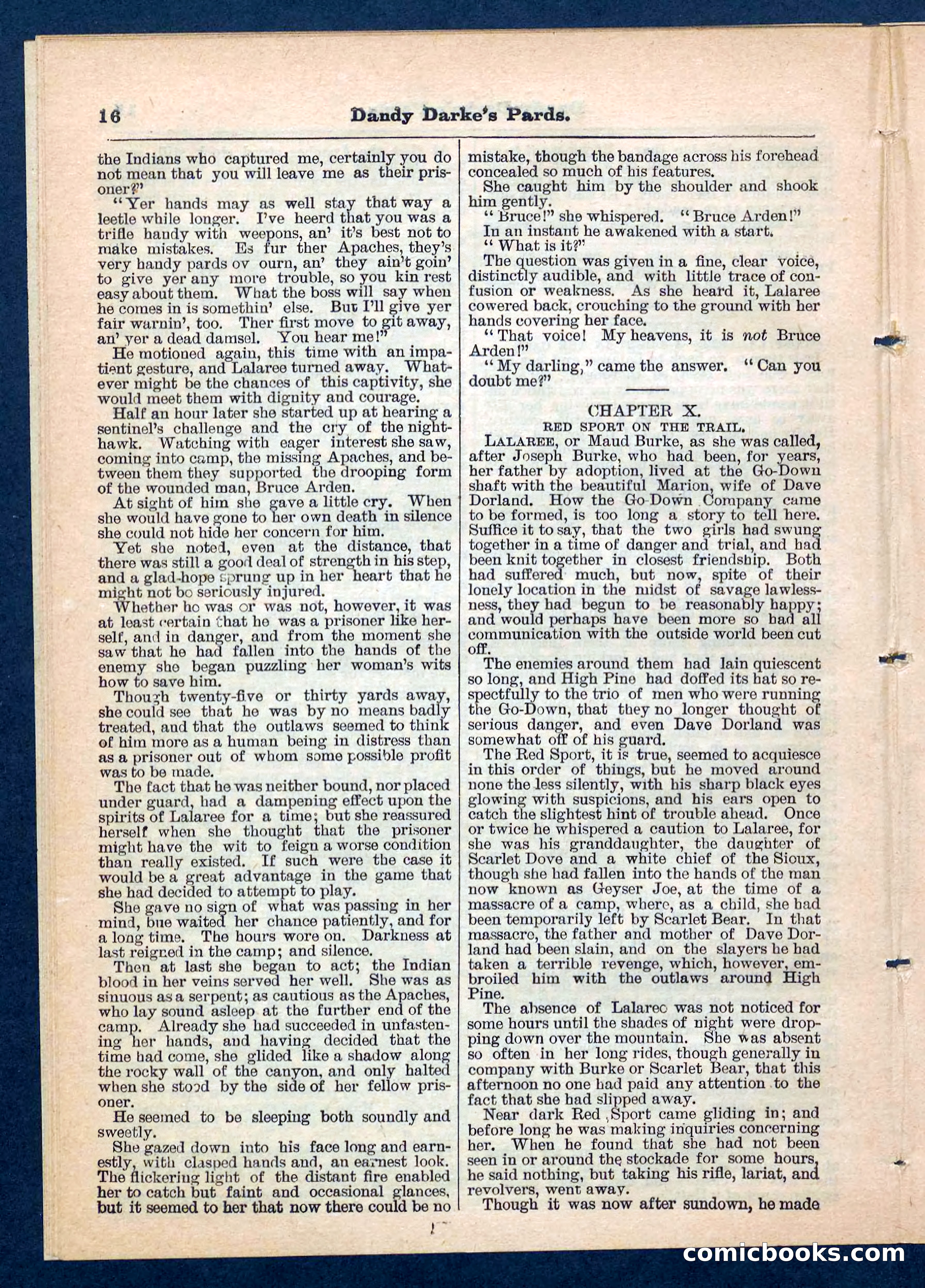 Beadle's Pocket Library No. 201: Dandy Darke's Pards — page 16 of 32