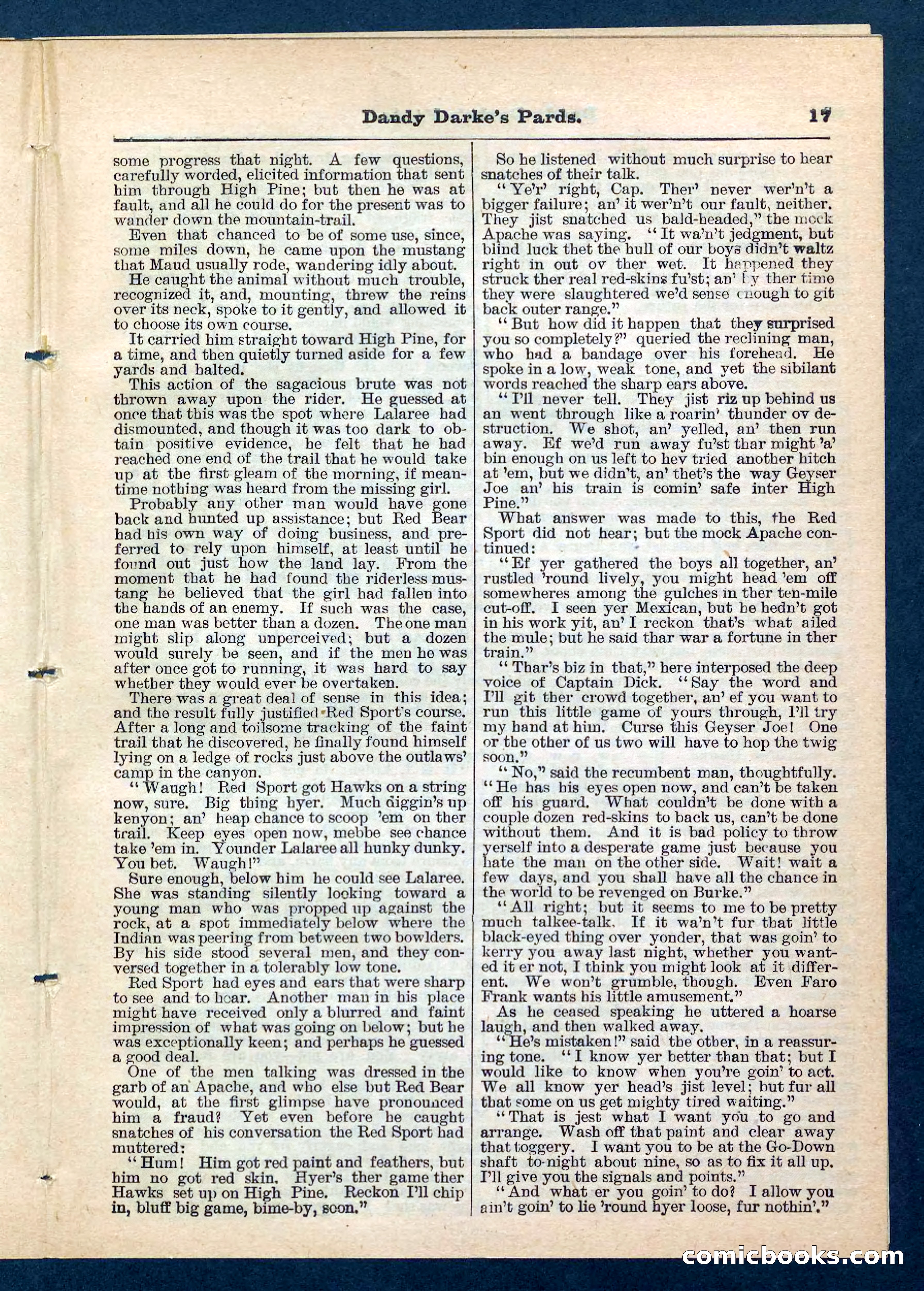 Beadle's Pocket Library No. 201: Dandy Darke's Pards — page 17 of 32