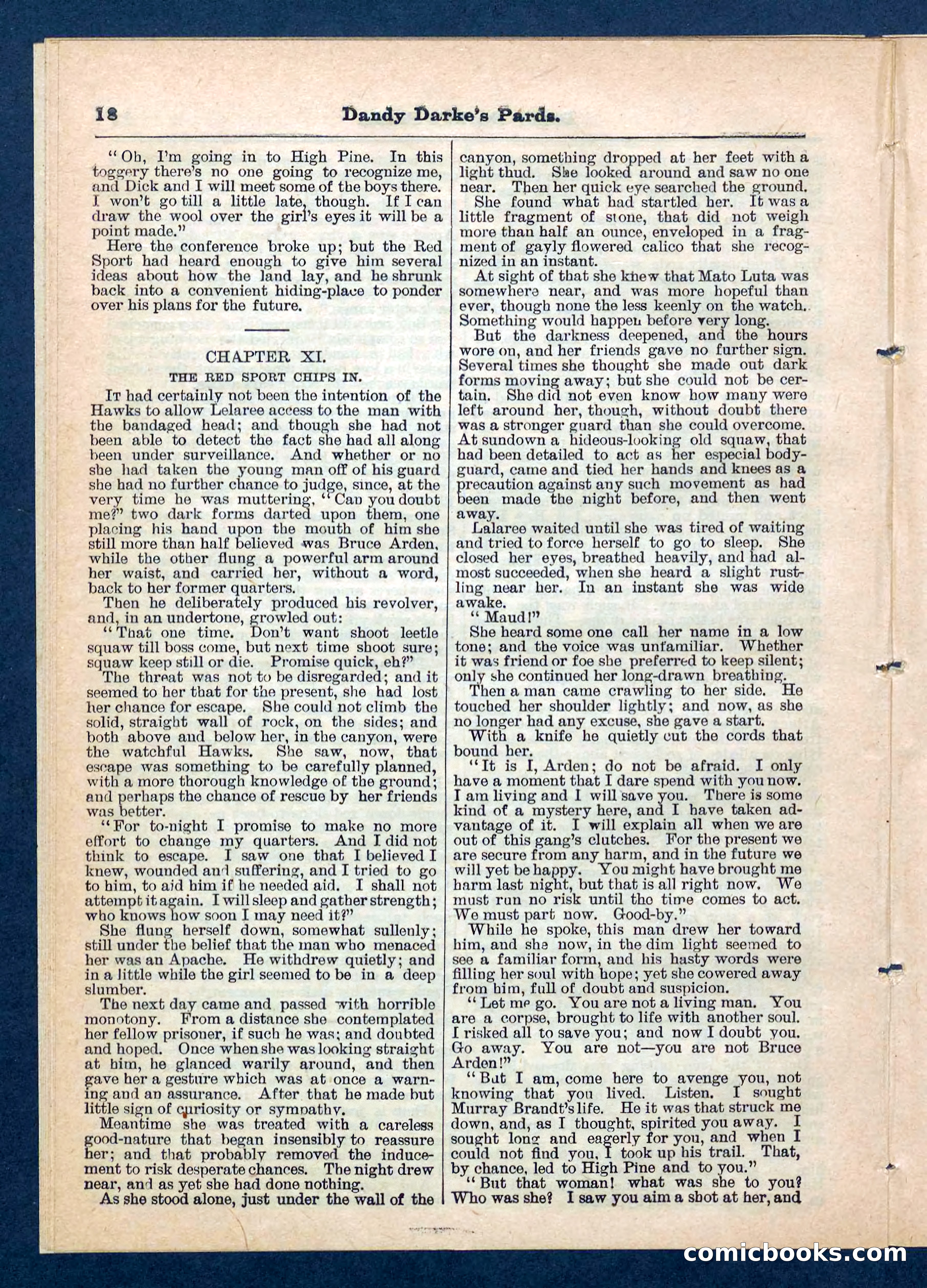 Beadle's Pocket Library No. 201: Dandy Darke's Pards — page 18 of 32