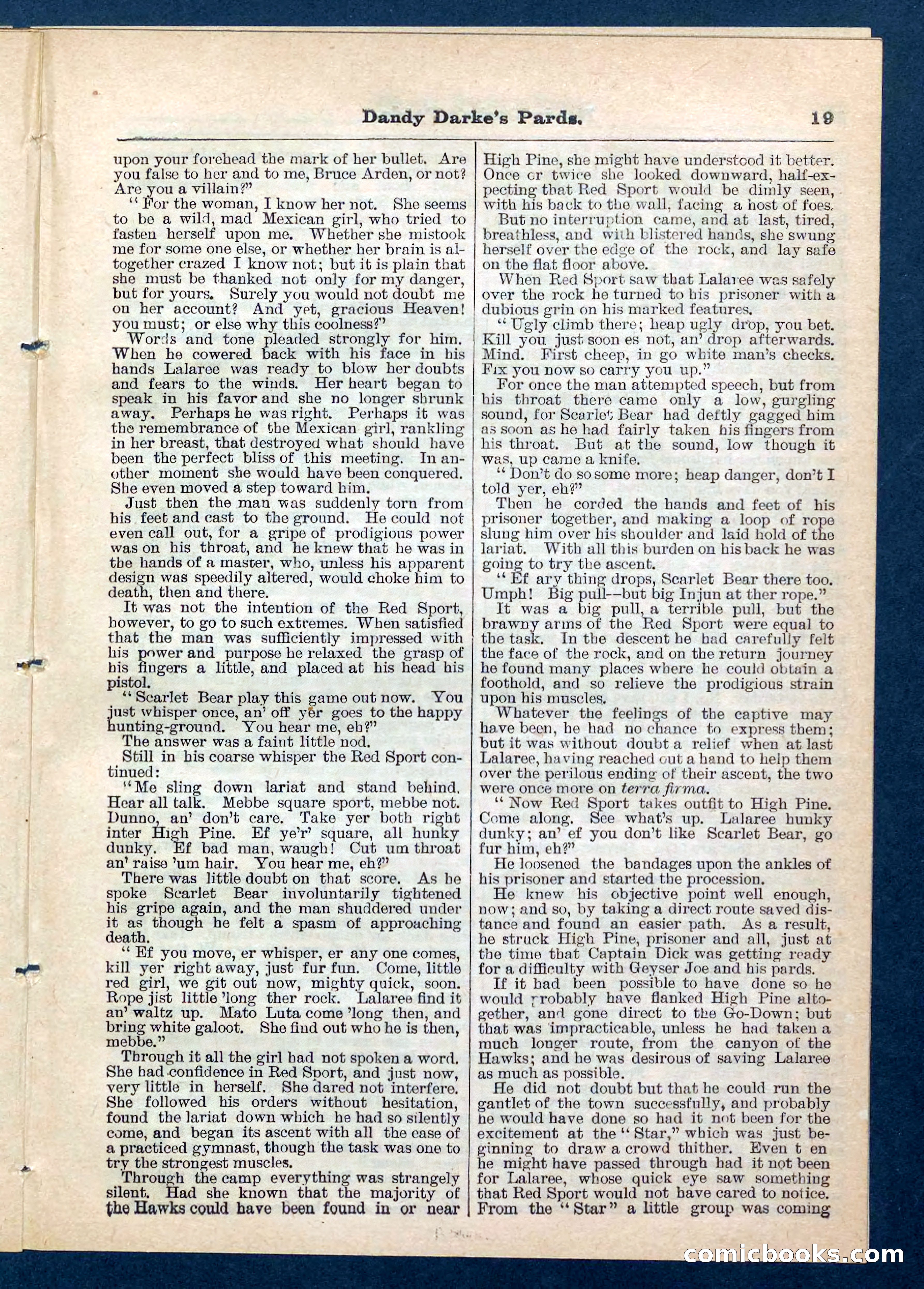 Beadle's Pocket Library No. 201: Dandy Darke's Pards — page 19 of 32