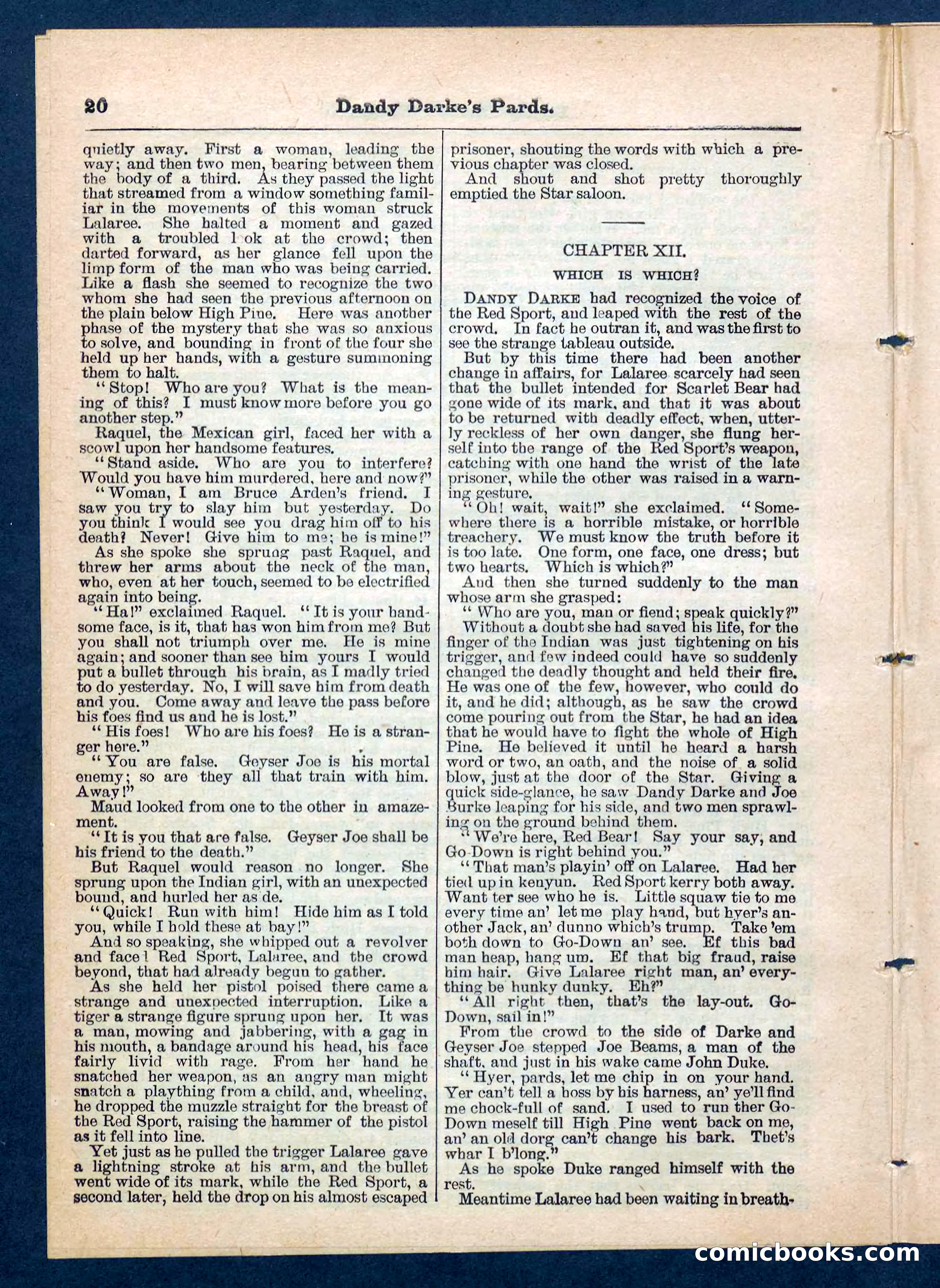 Beadle's Pocket Library No. 201: Dandy Darke's Pards — page 20 of 32