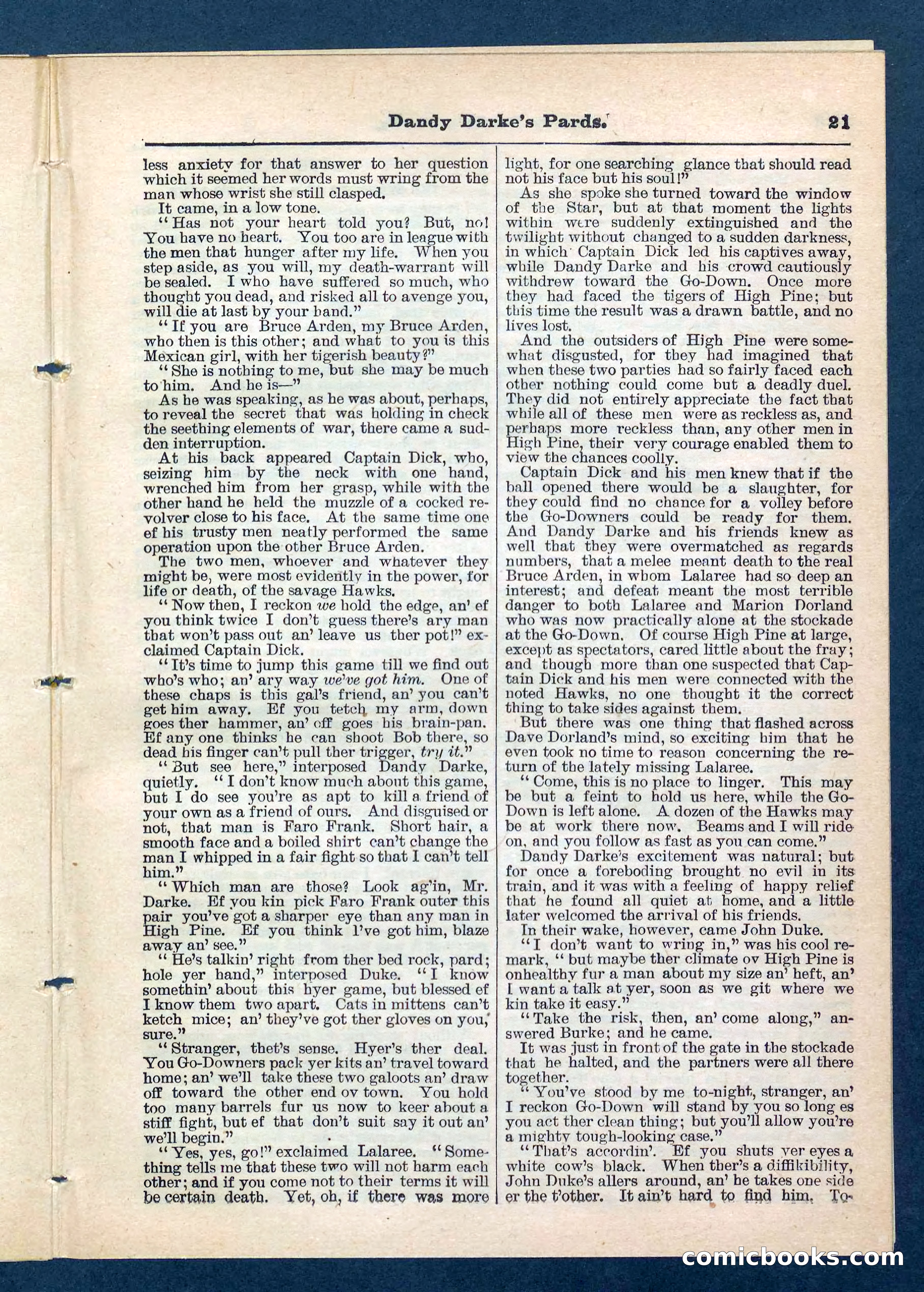 Beadle's Pocket Library No. 201: Dandy Darke's Pards — page 21 of 32