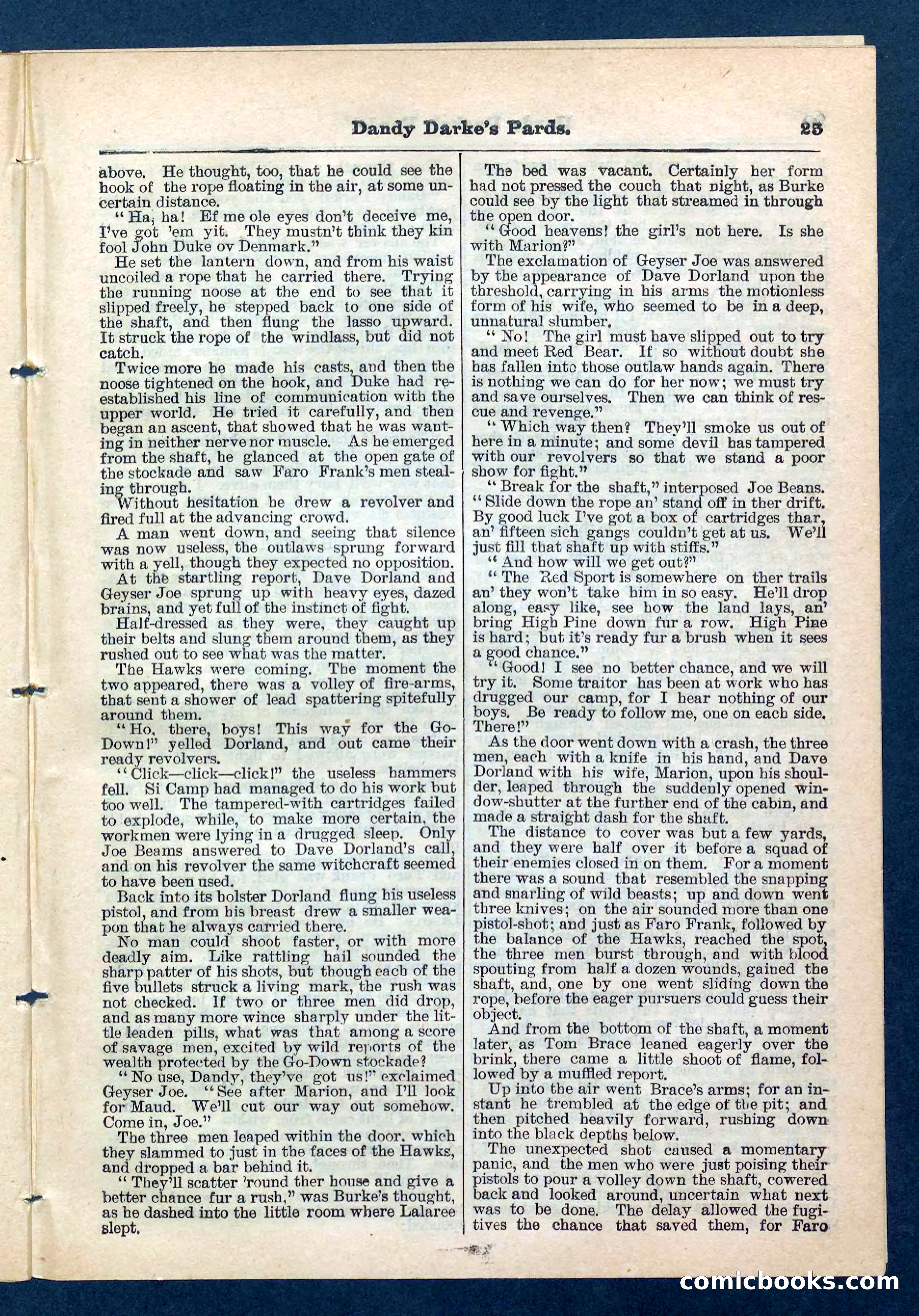 Beadle's Pocket Library No. 201: Dandy Darke's Pards — page 25 of 32