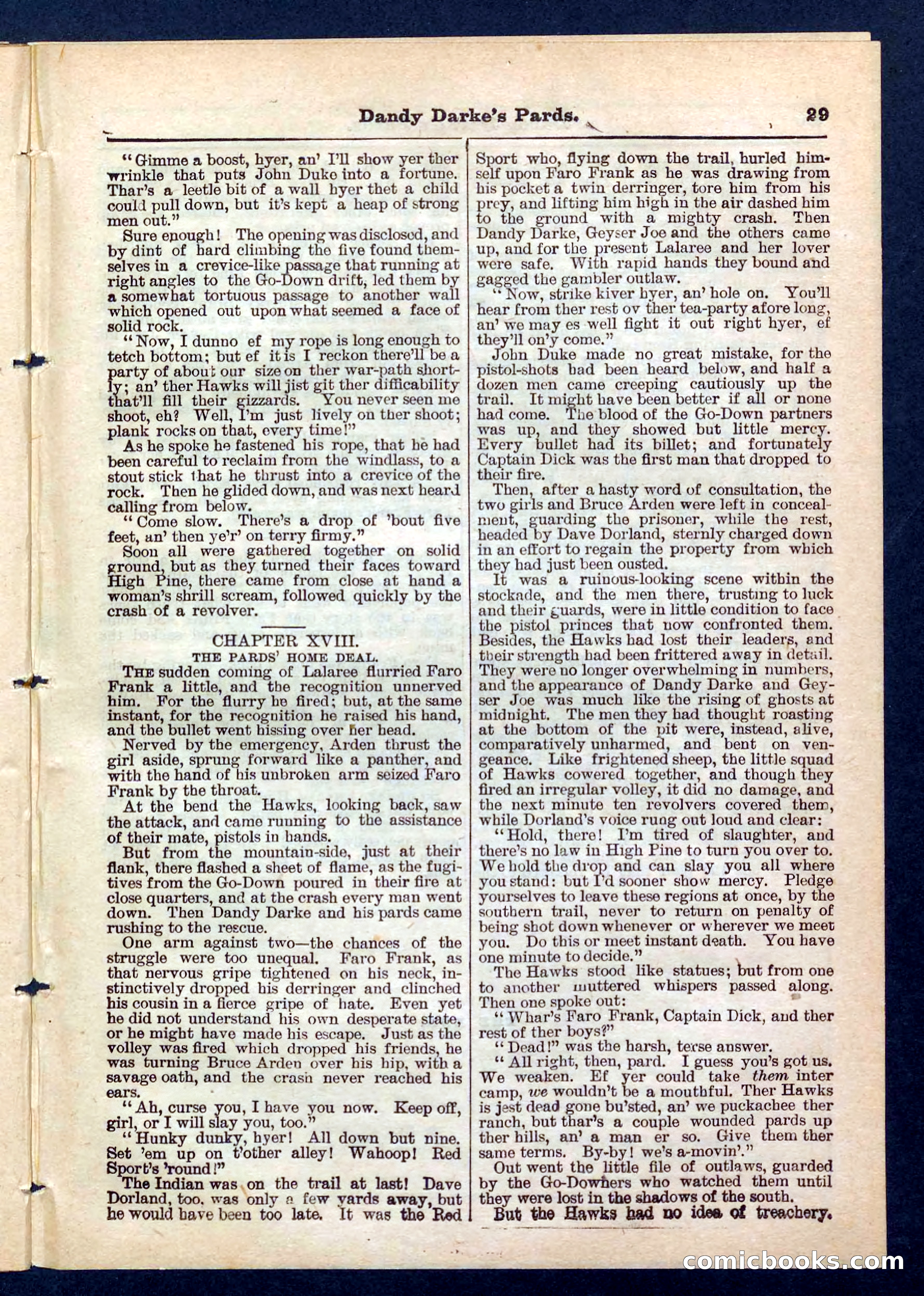 Beadle's Pocket Library No. 201: Dandy Darke's Pards — page 29 of 32