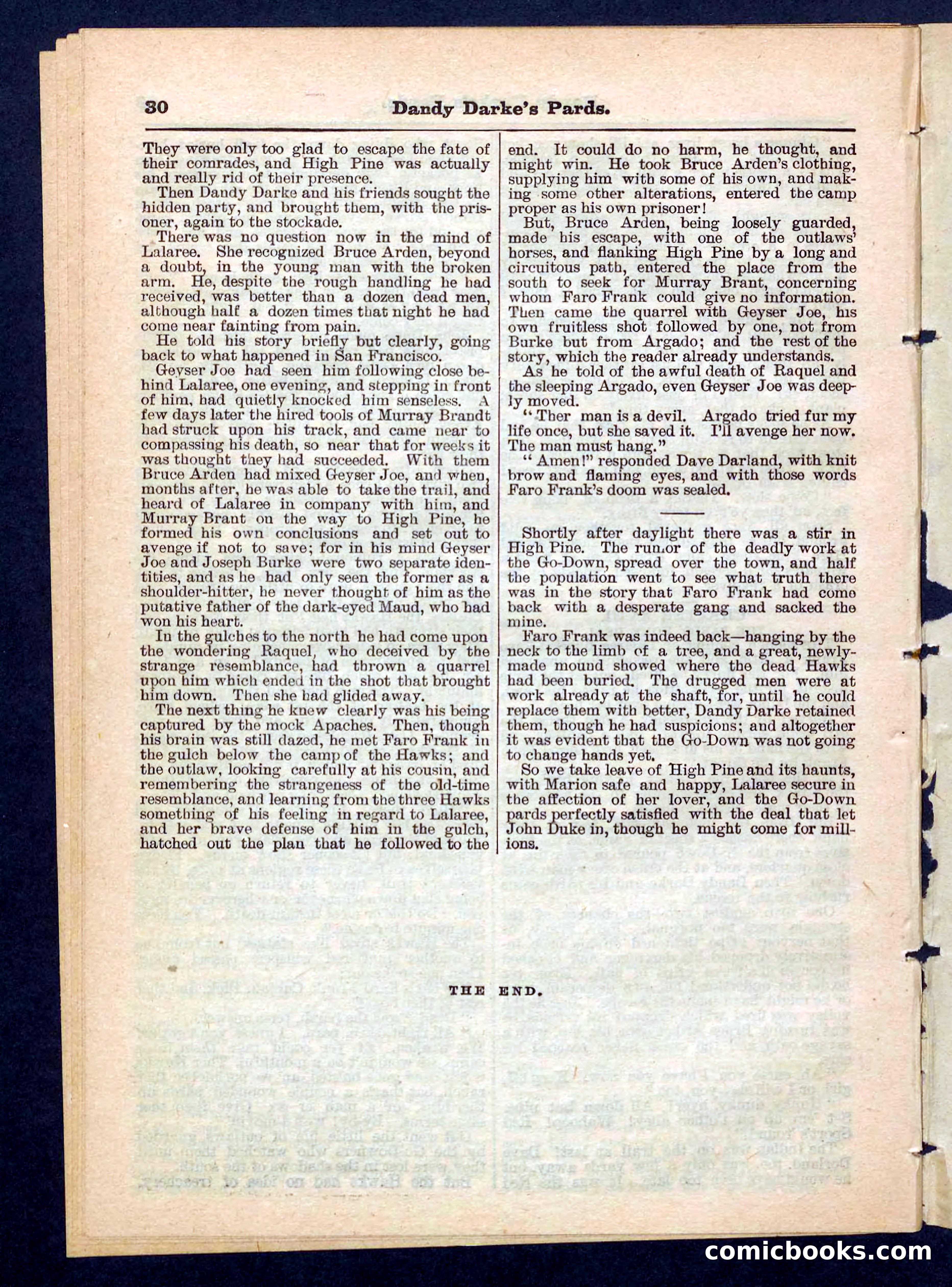 Beadle's Pocket Library No. 201: Dandy Darke's Pards — page 30 of 32