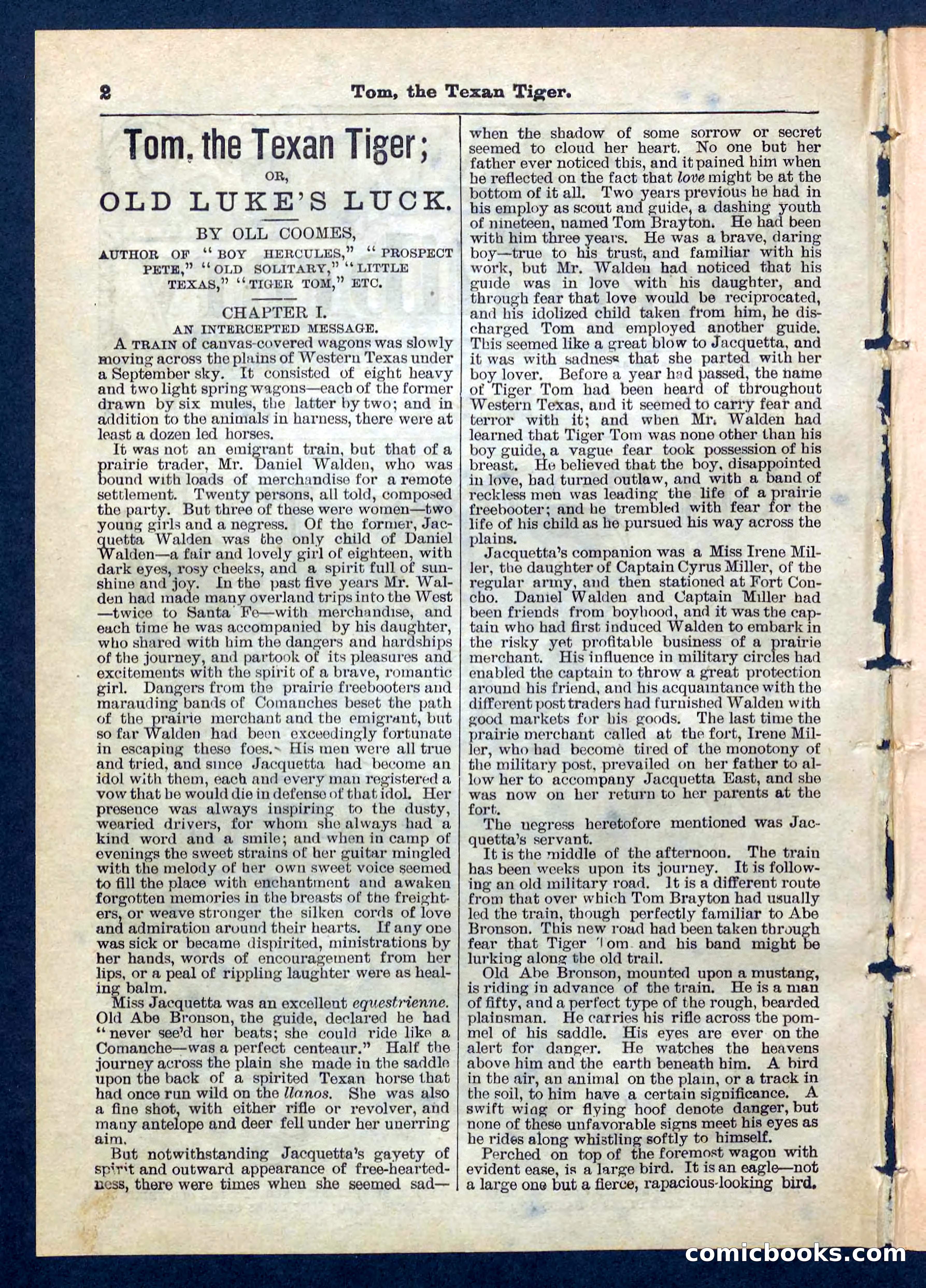 Beadle's Pocket Library No. 202 — page 2 of 32