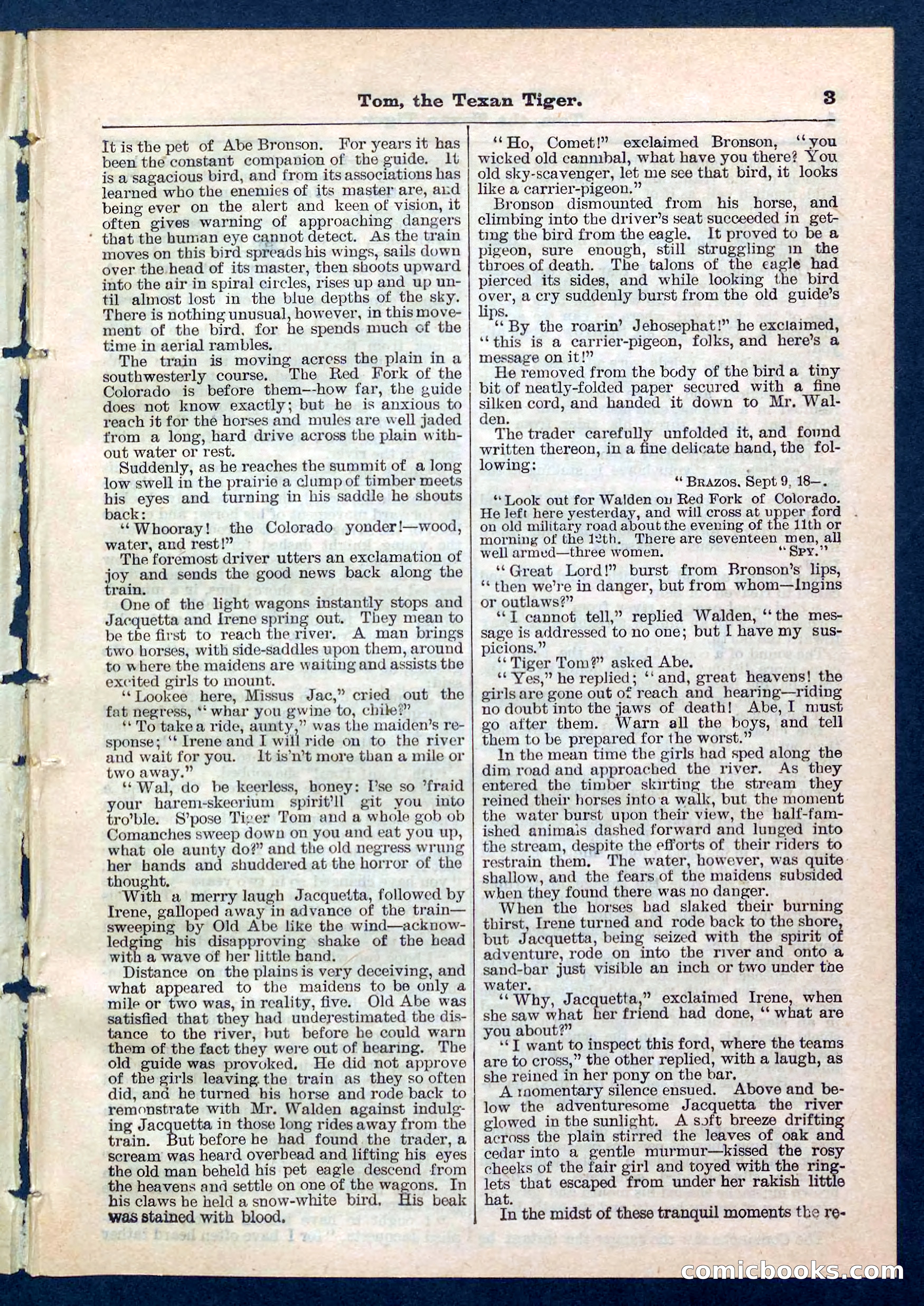 Beadle's Pocket Library No. 202 — page 3 of 32