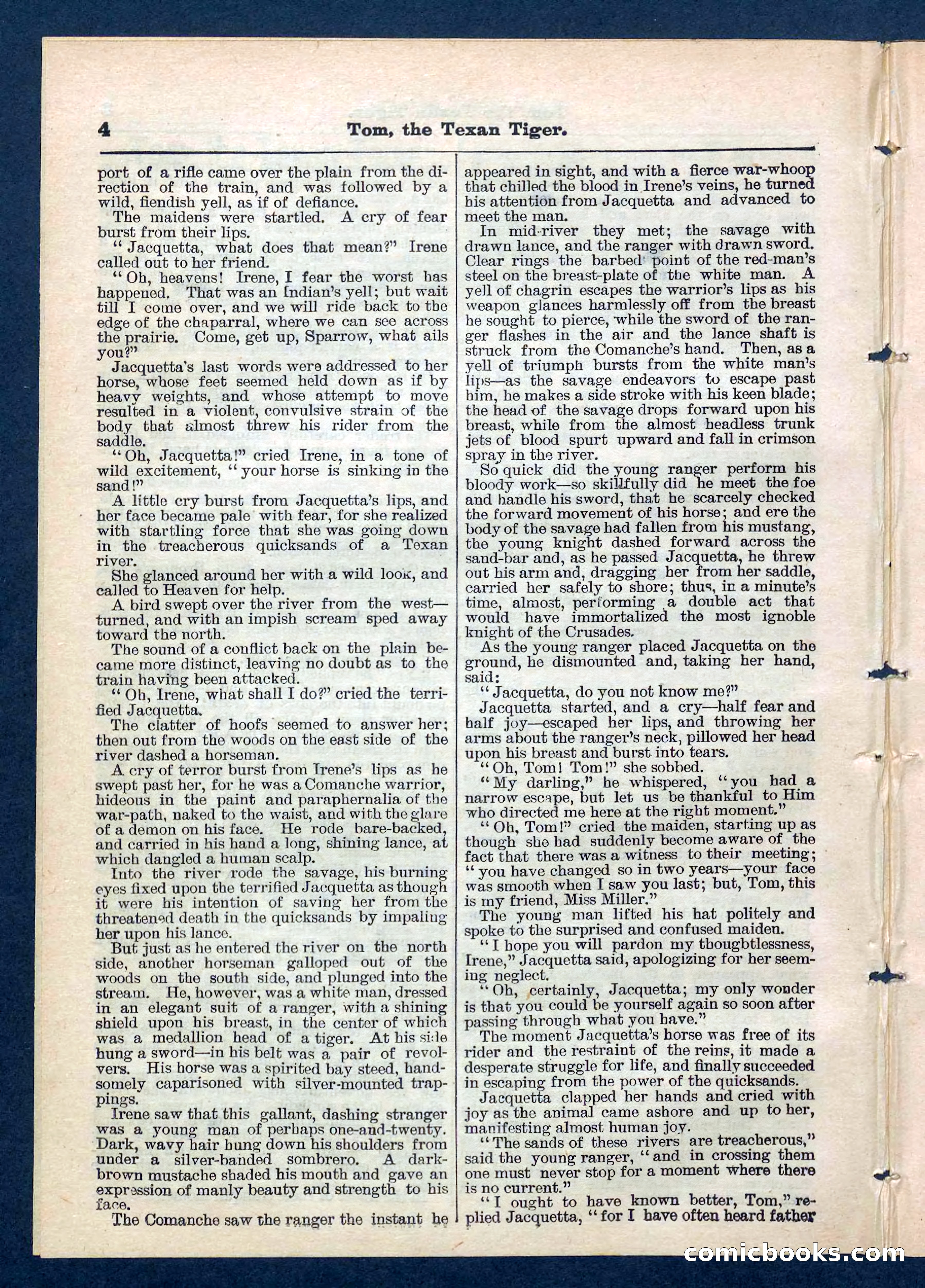 Beadle's Pocket Library No. 202 — page 4 of 32