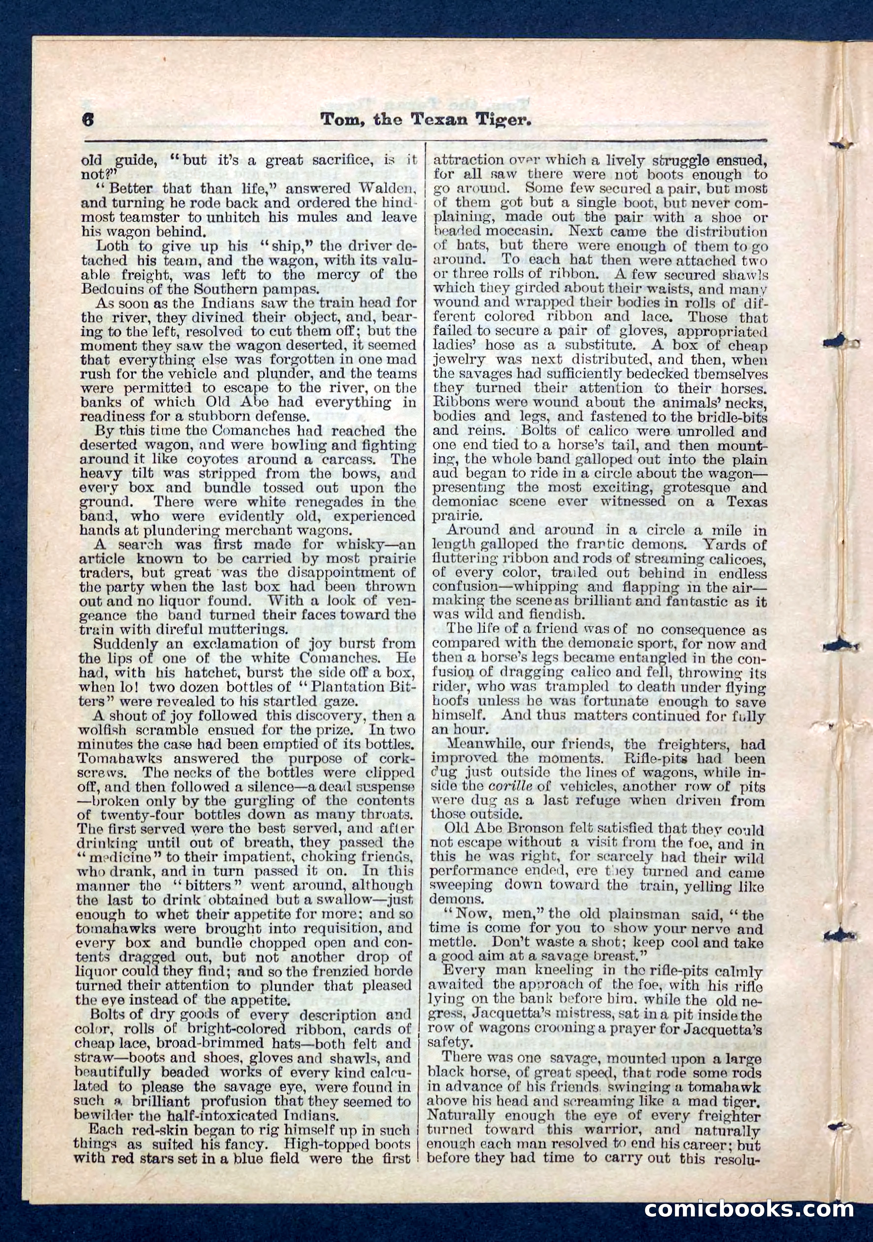 Beadle's Pocket Library No. 202 — page 6 of 32
