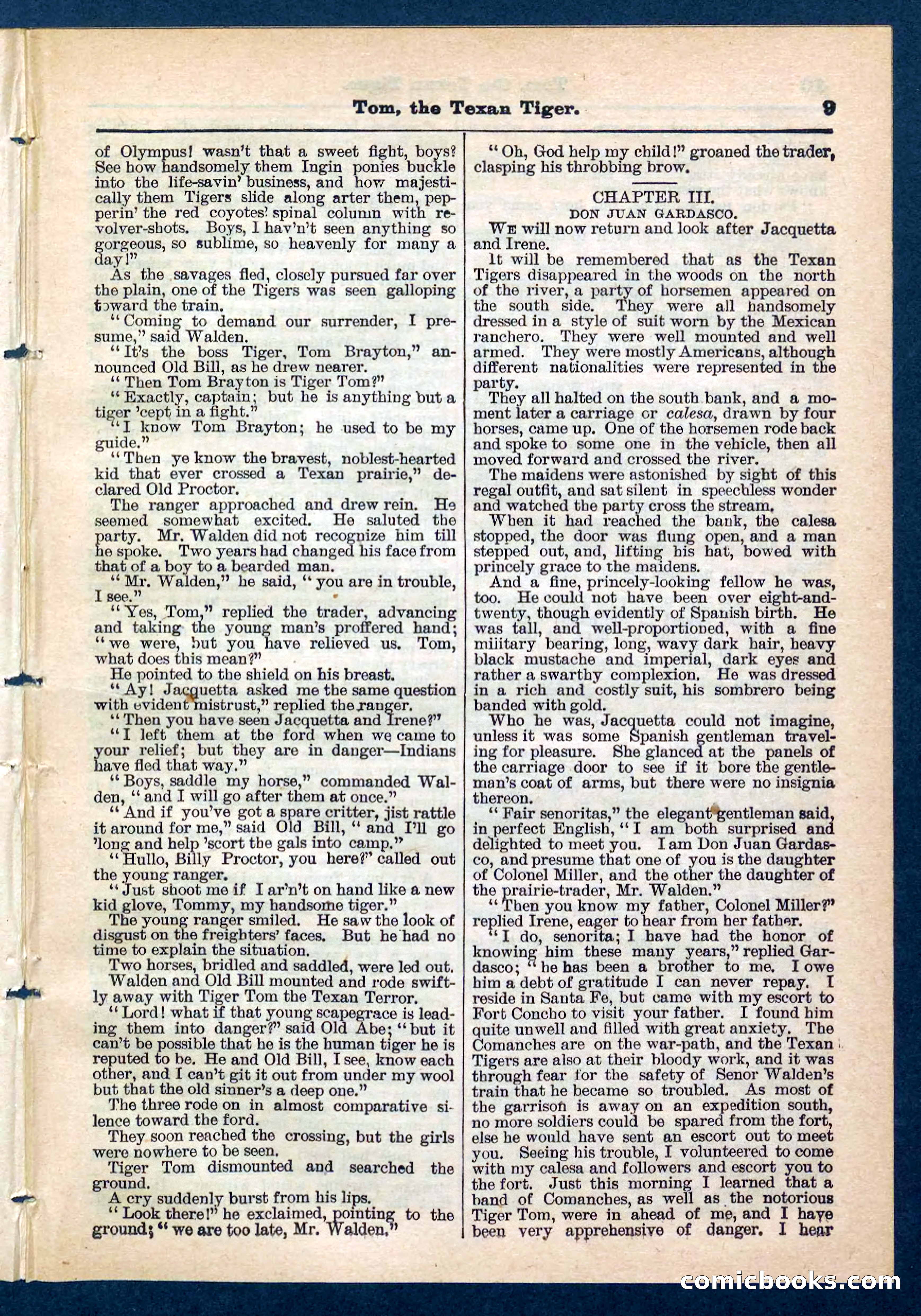 Beadle's Pocket Library No. 202 — page 9 of 32