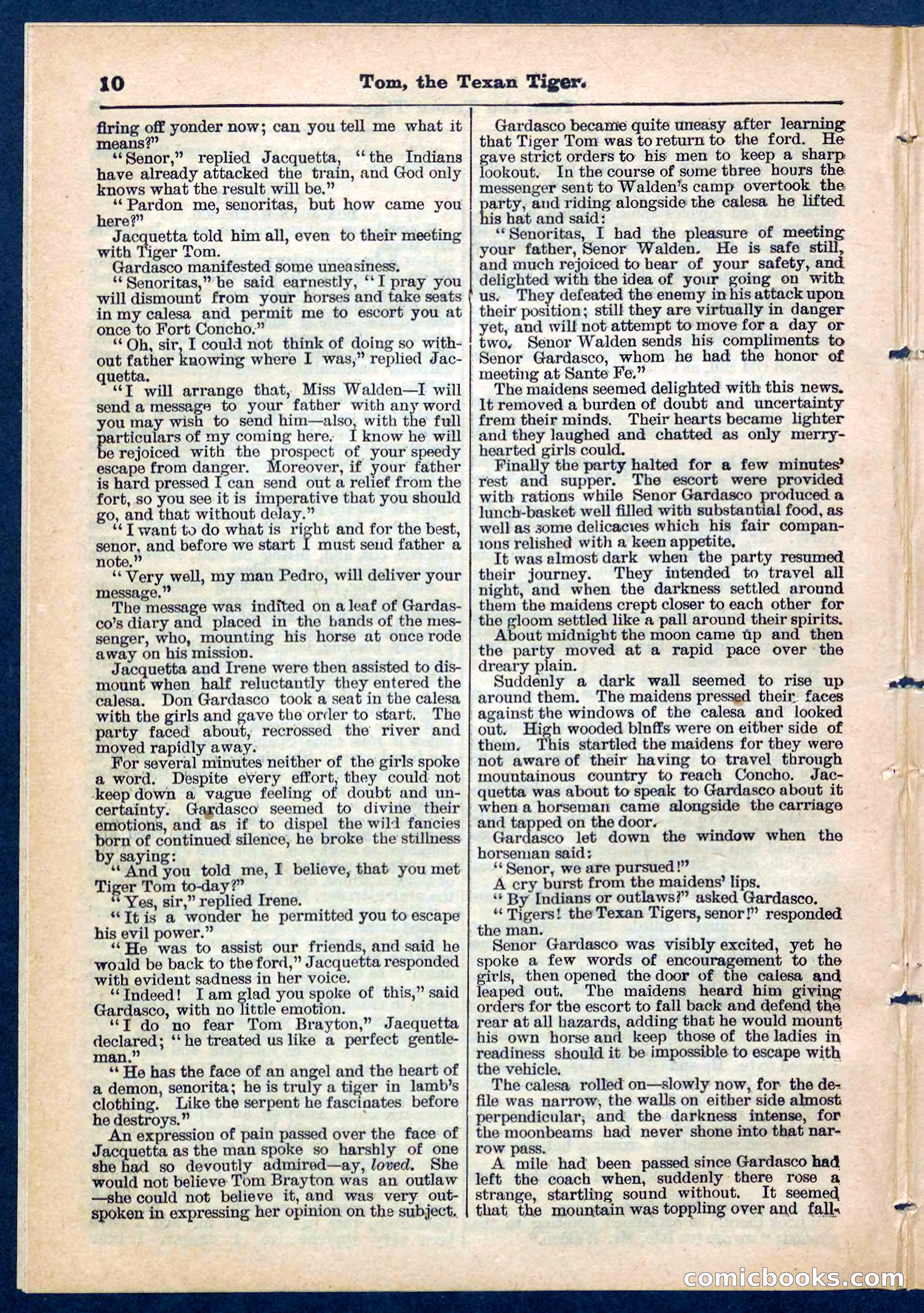 Beadle's Pocket Library No. 202 — page 10 of 32
