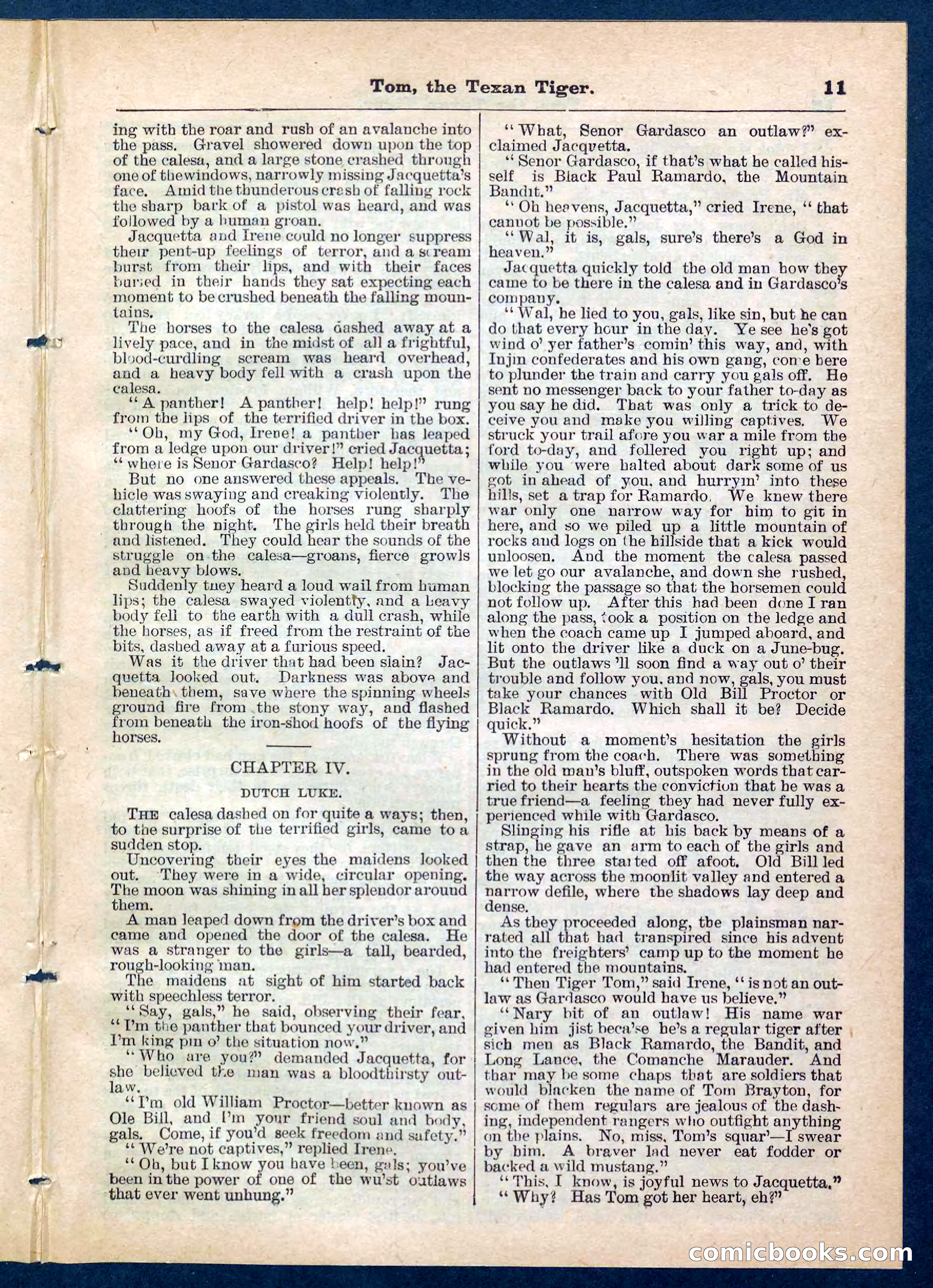 Beadle's Pocket Library No. 202 — page 11 of 32