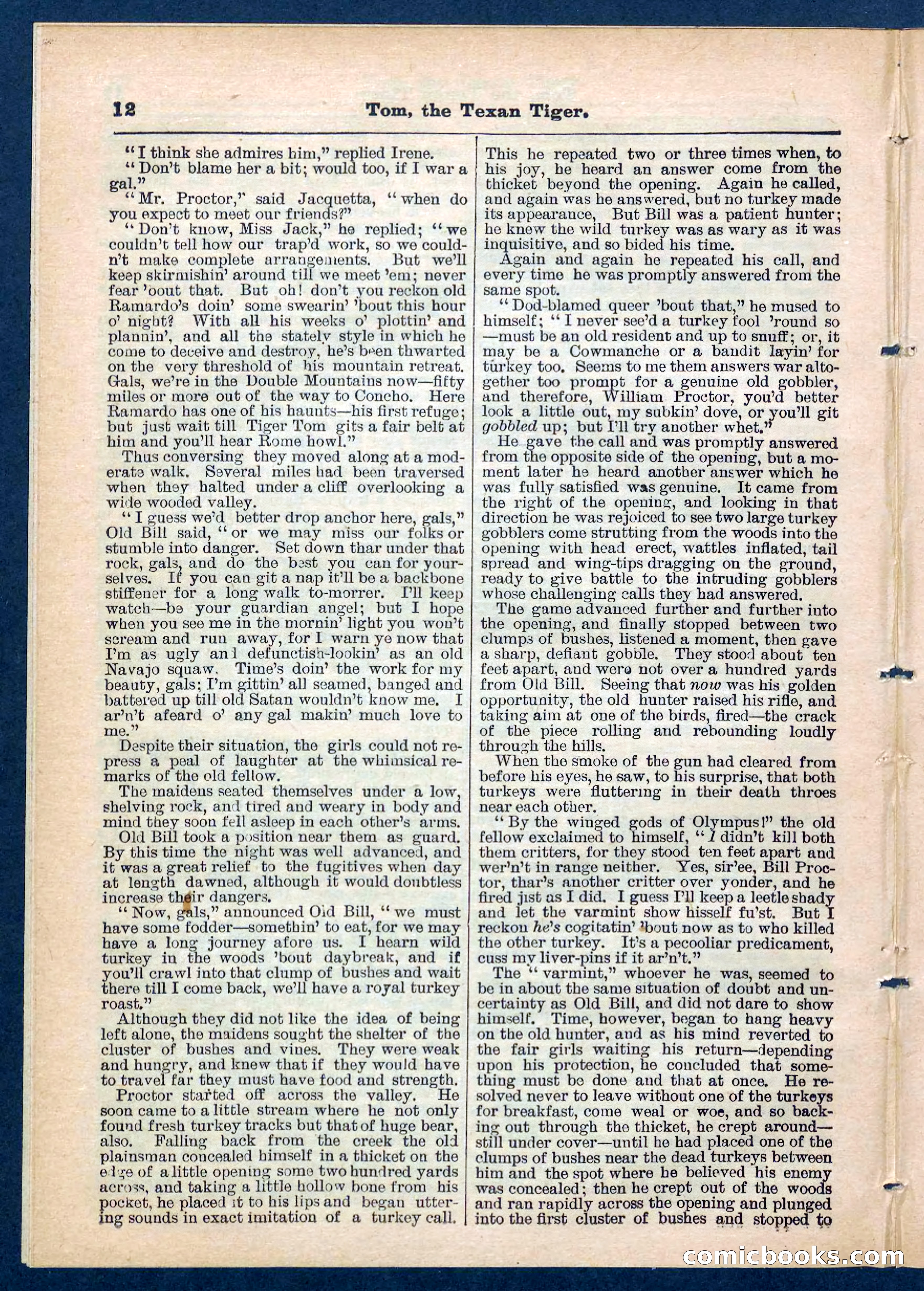 Beadle's Pocket Library No. 202 — page 12 of 32