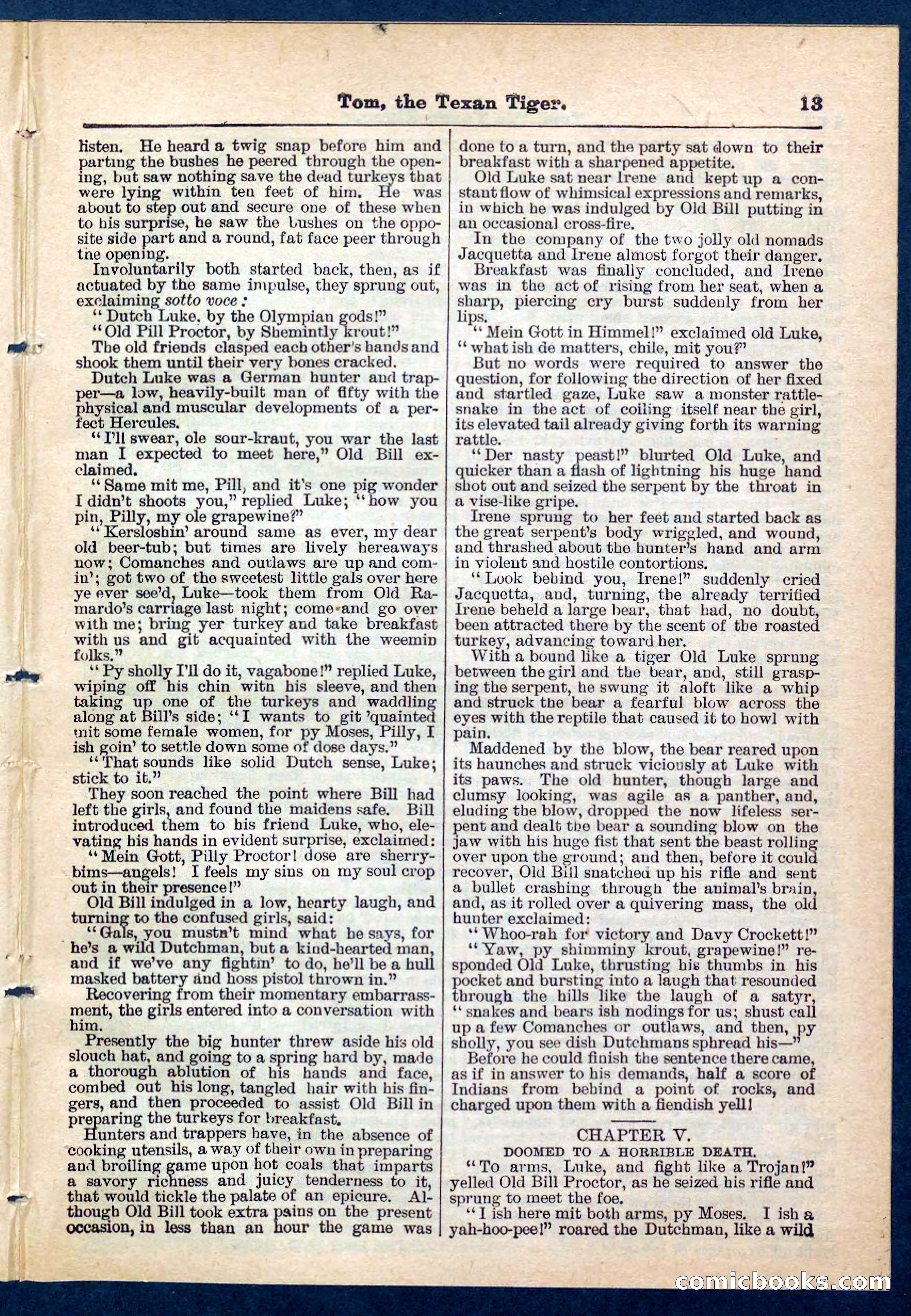 Beadle's Pocket Library No. 202 — page 13 of 32