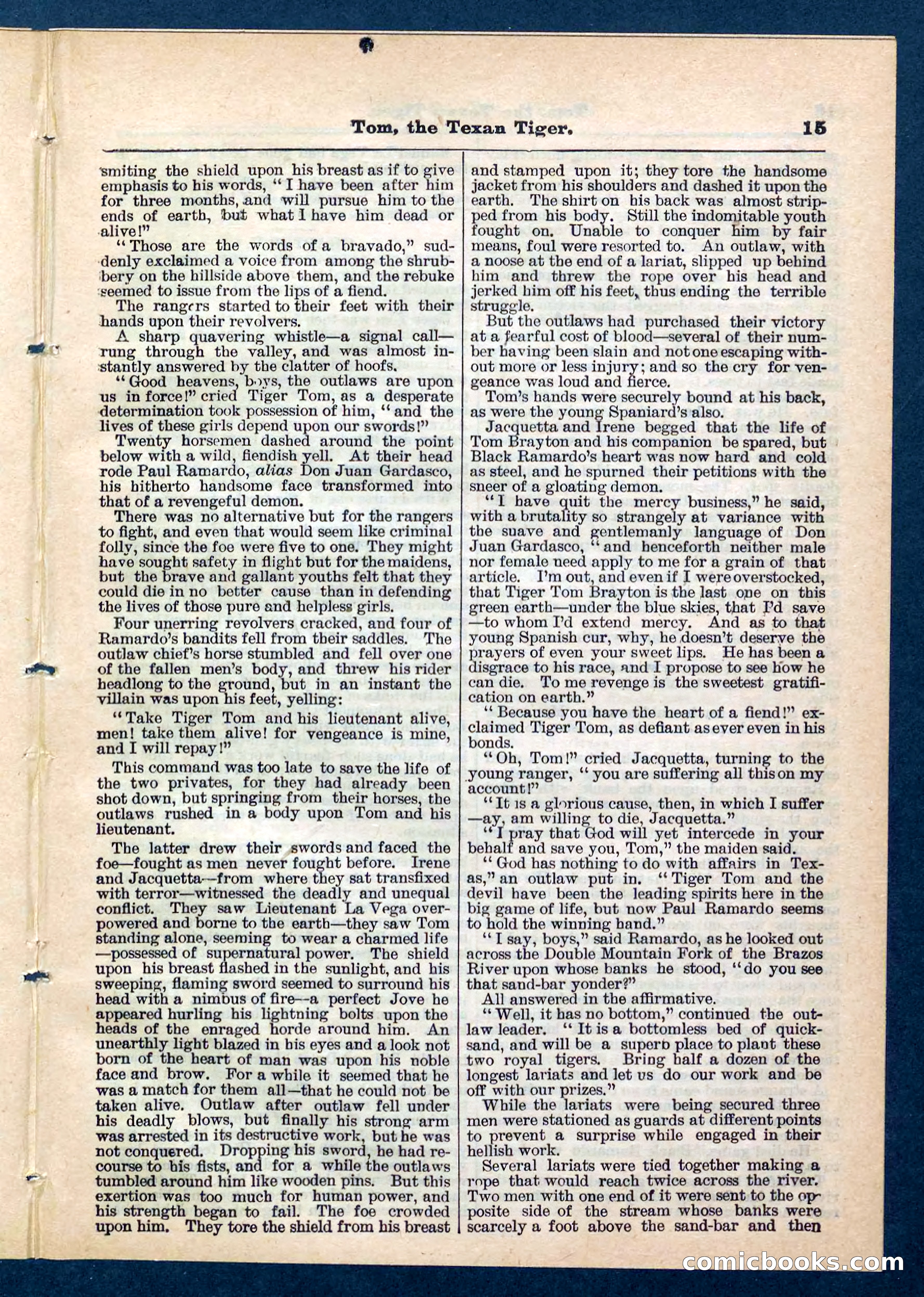 Beadle's Pocket Library No. 202 — page 15 of 32