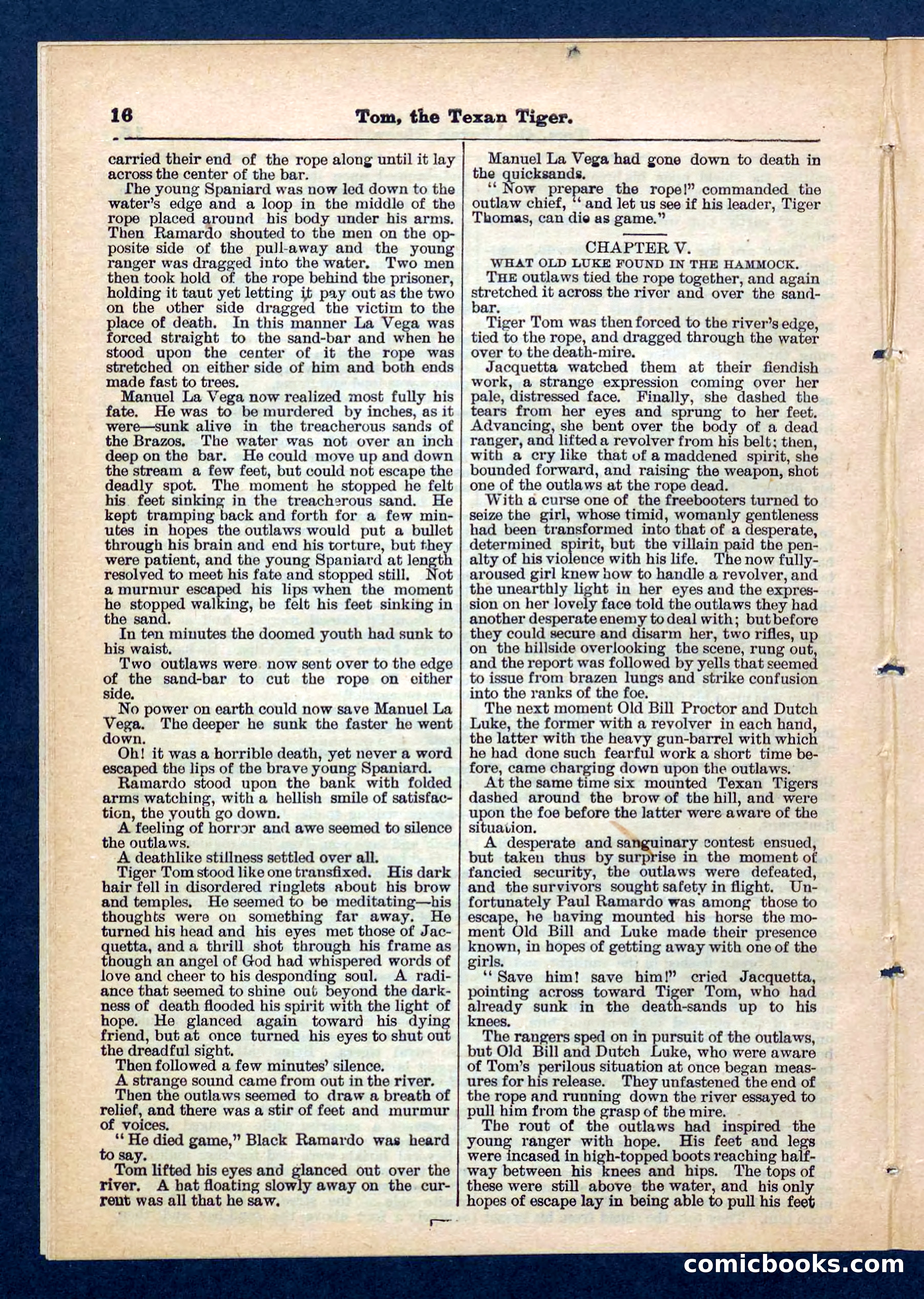 Beadle's Pocket Library No. 202 — page 16 of 32