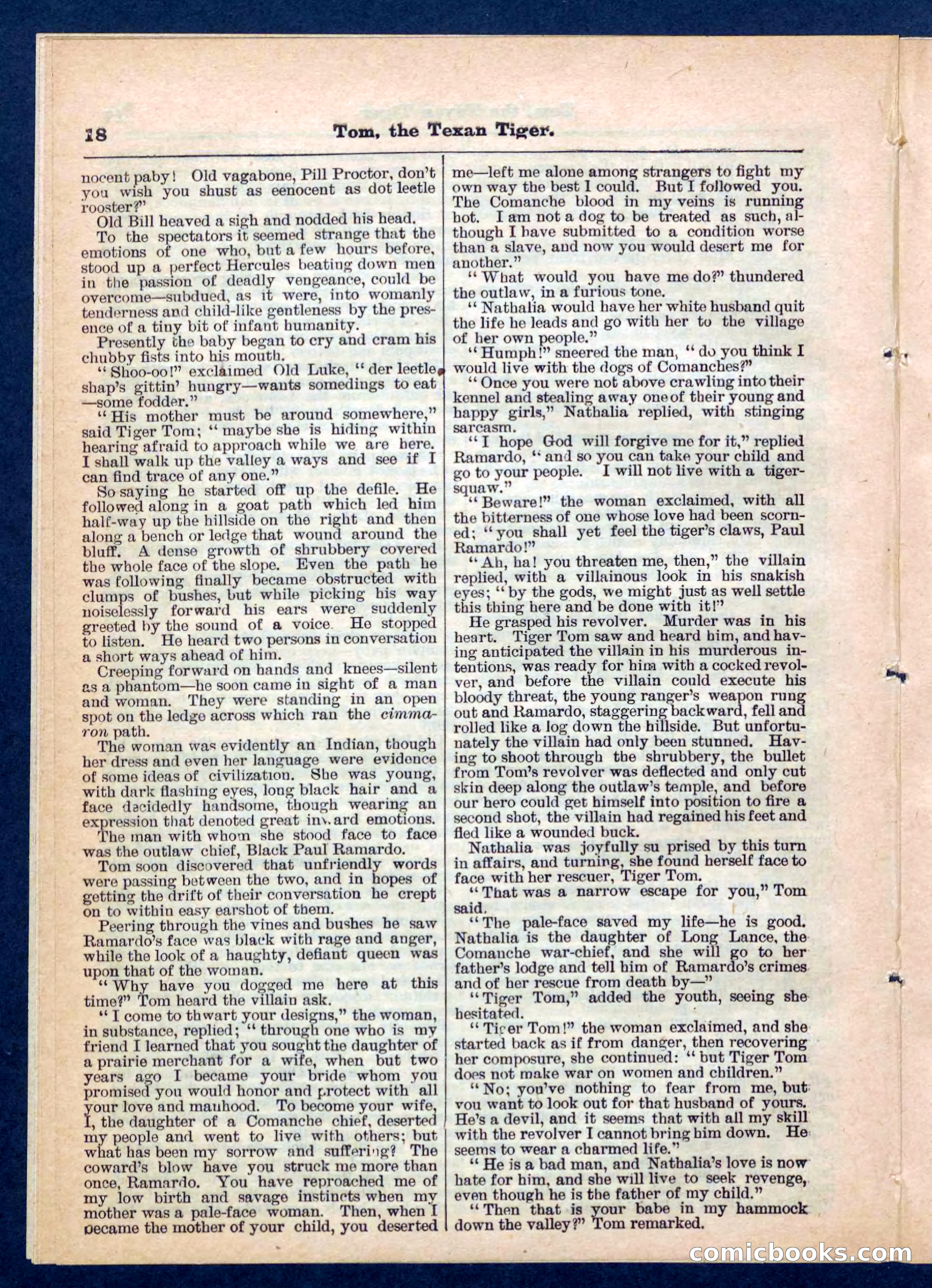 Beadle's Pocket Library No. 202 — page 18 of 32