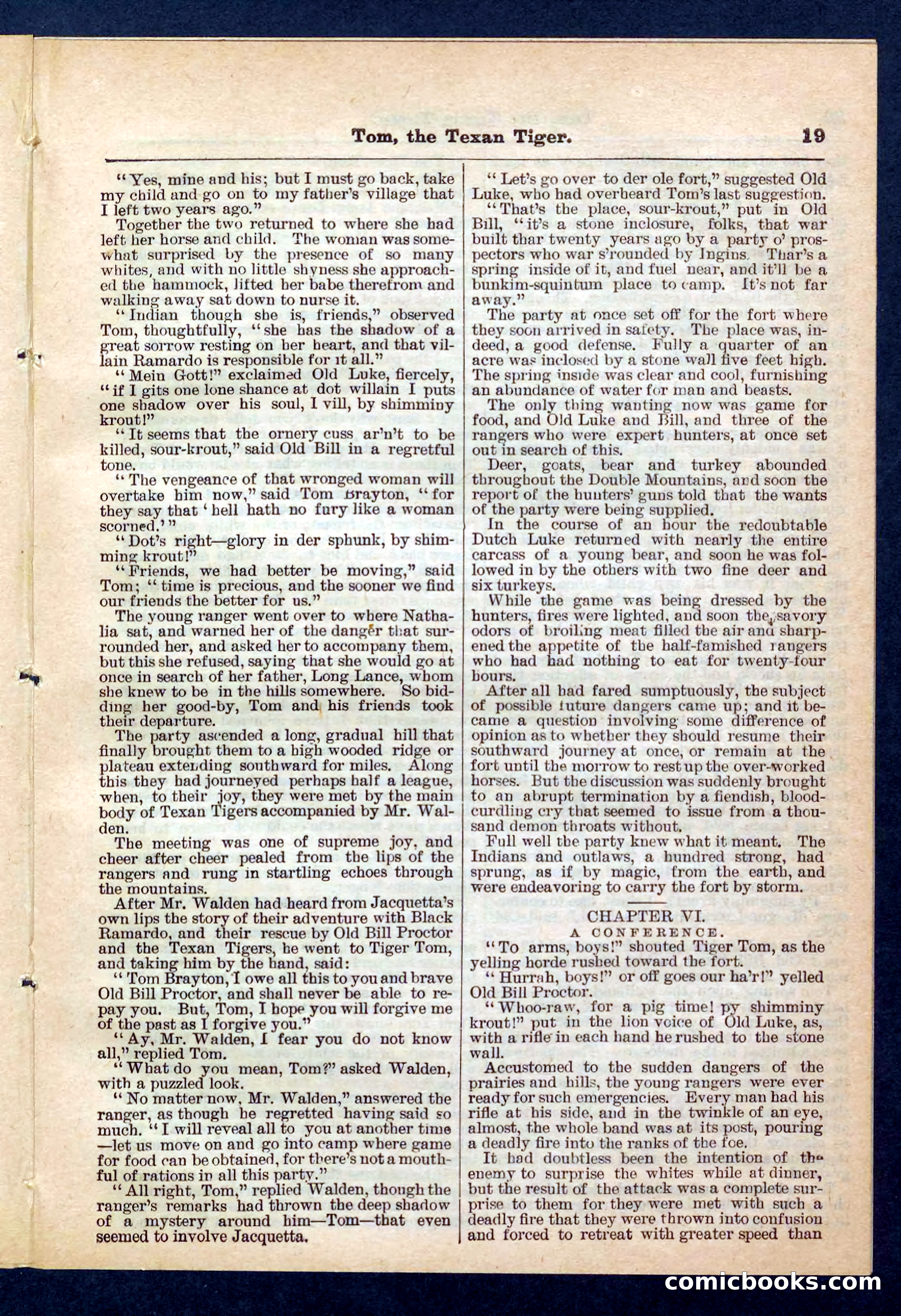 Beadle's Pocket Library No. 202 — page 19 of 32