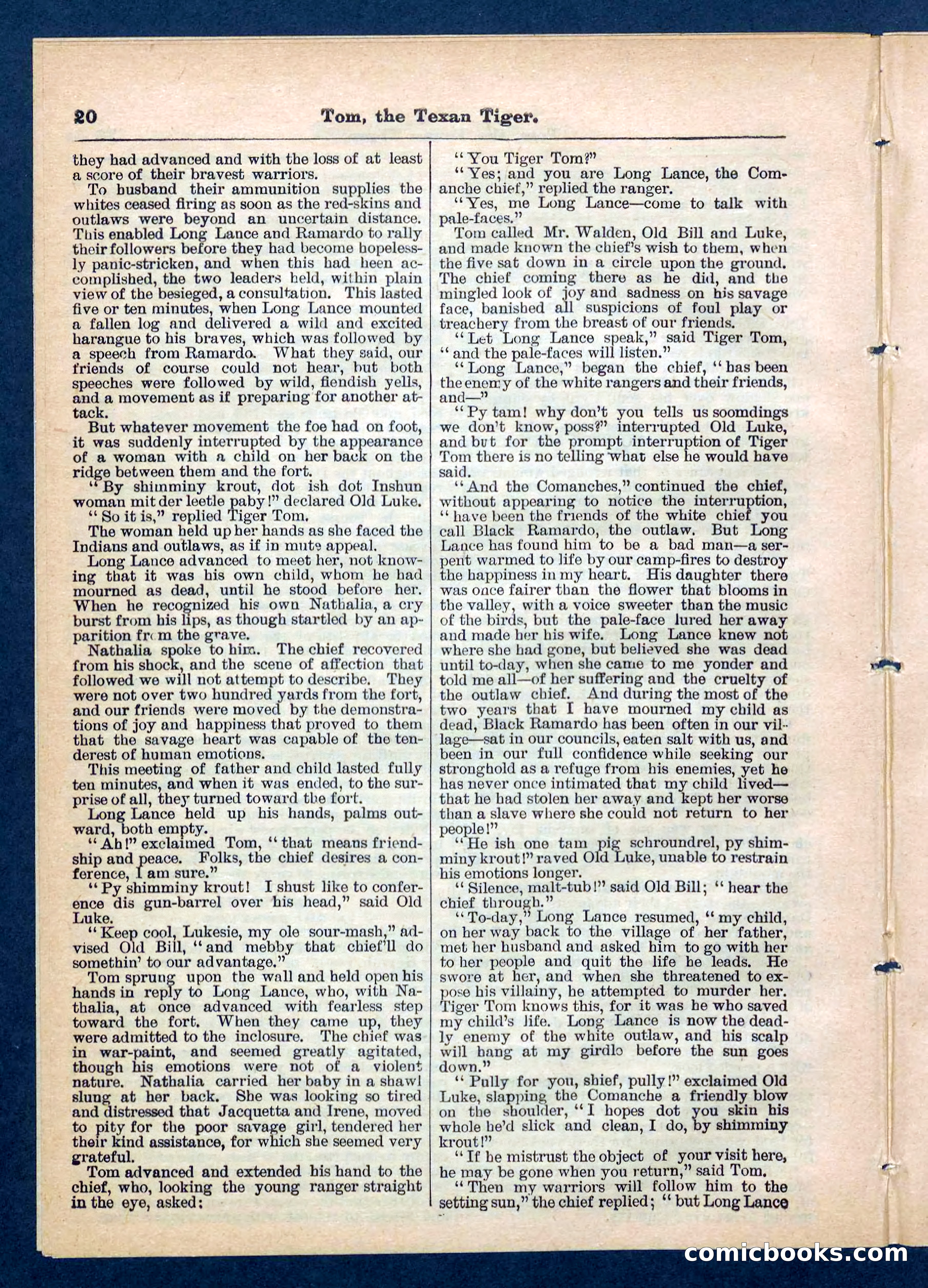 Beadle's Pocket Library No. 202 — page 20 of 32