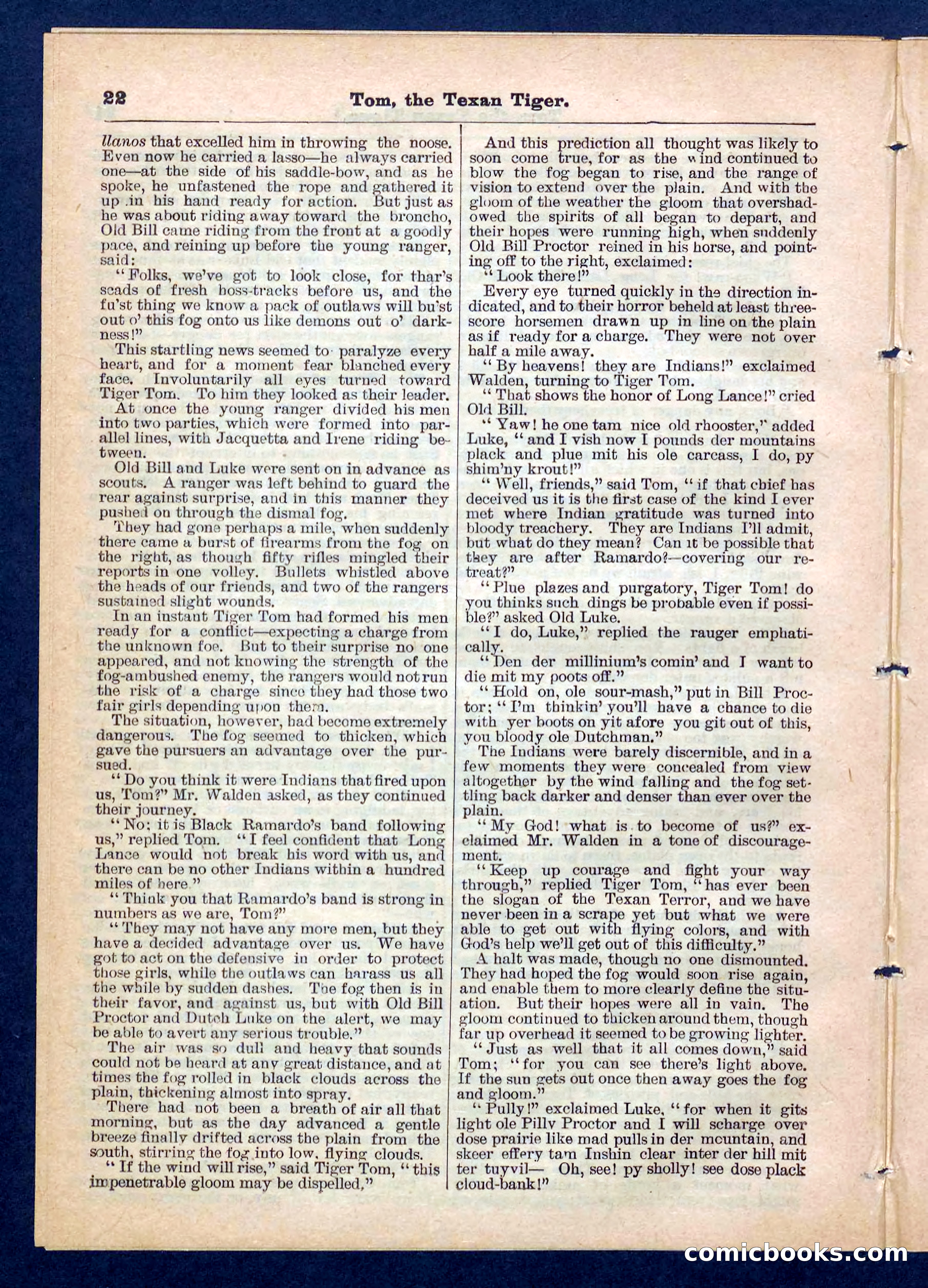 Beadle's Pocket Library No. 202 — page 22 of 32