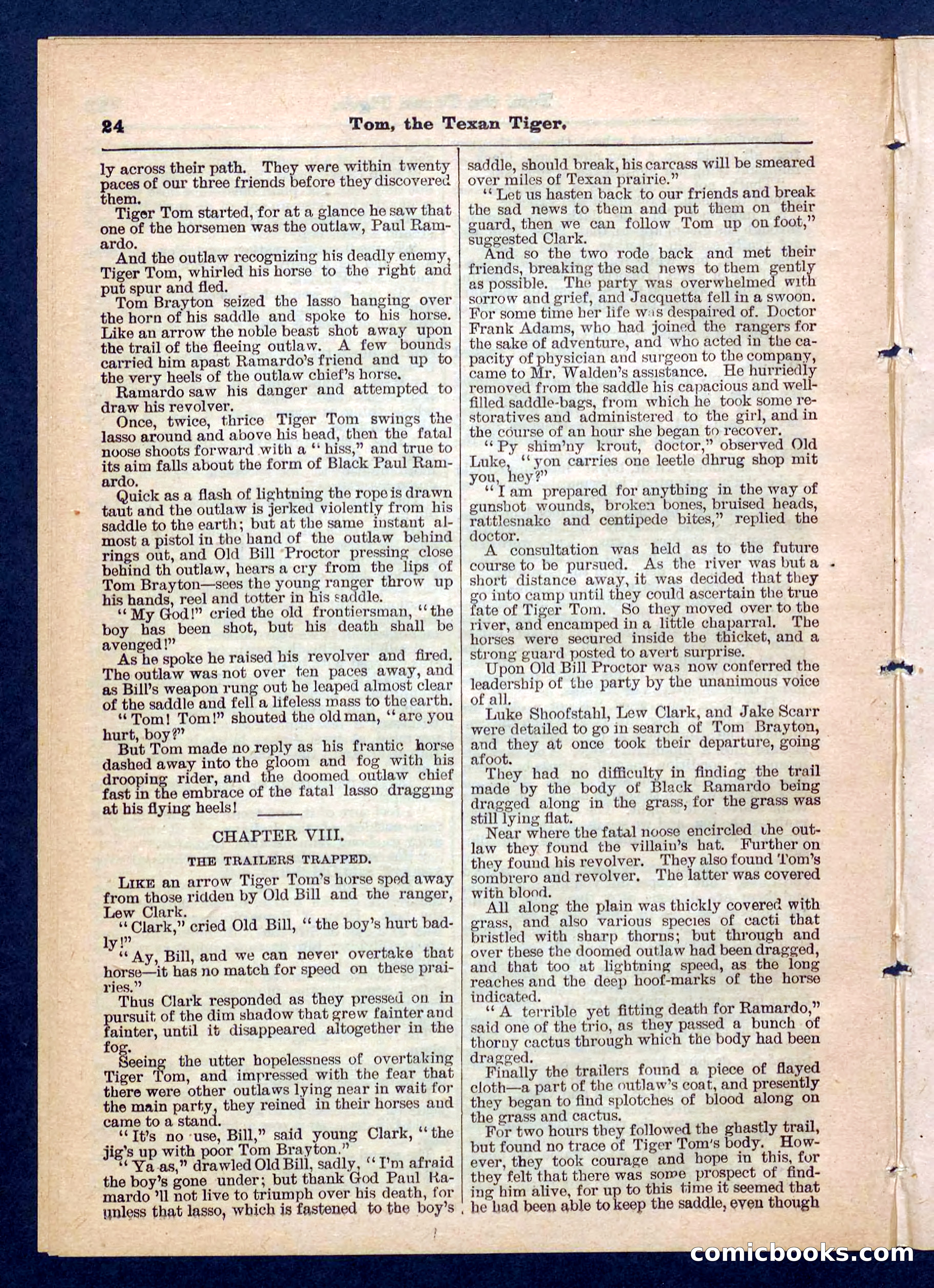 Beadle's Pocket Library No. 202 — page 24 of 32